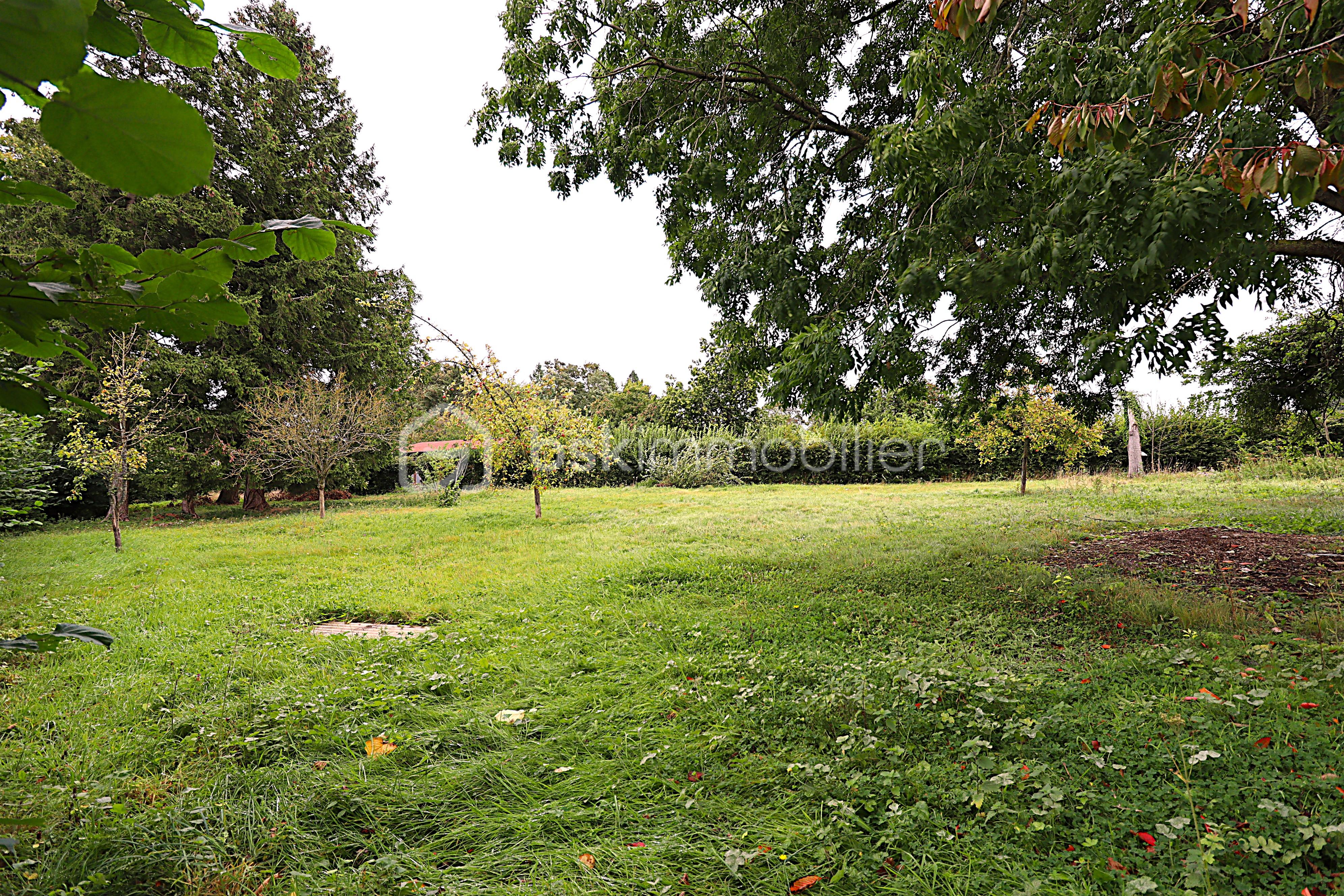 Lotissement de 2 258 m² - IMG_7212.JPG