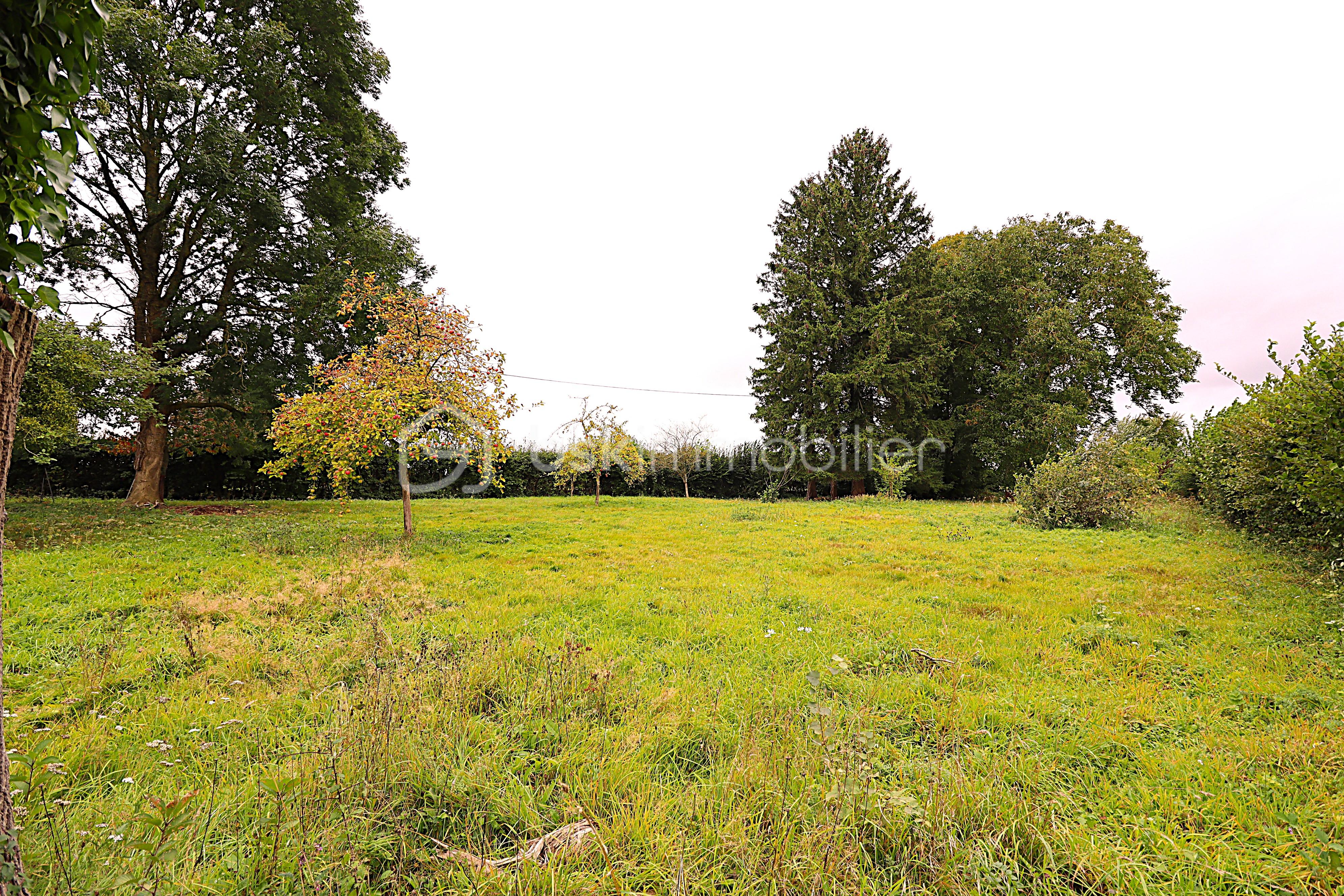 Lotissement de 2 258 m² - IMG_7213.JPG