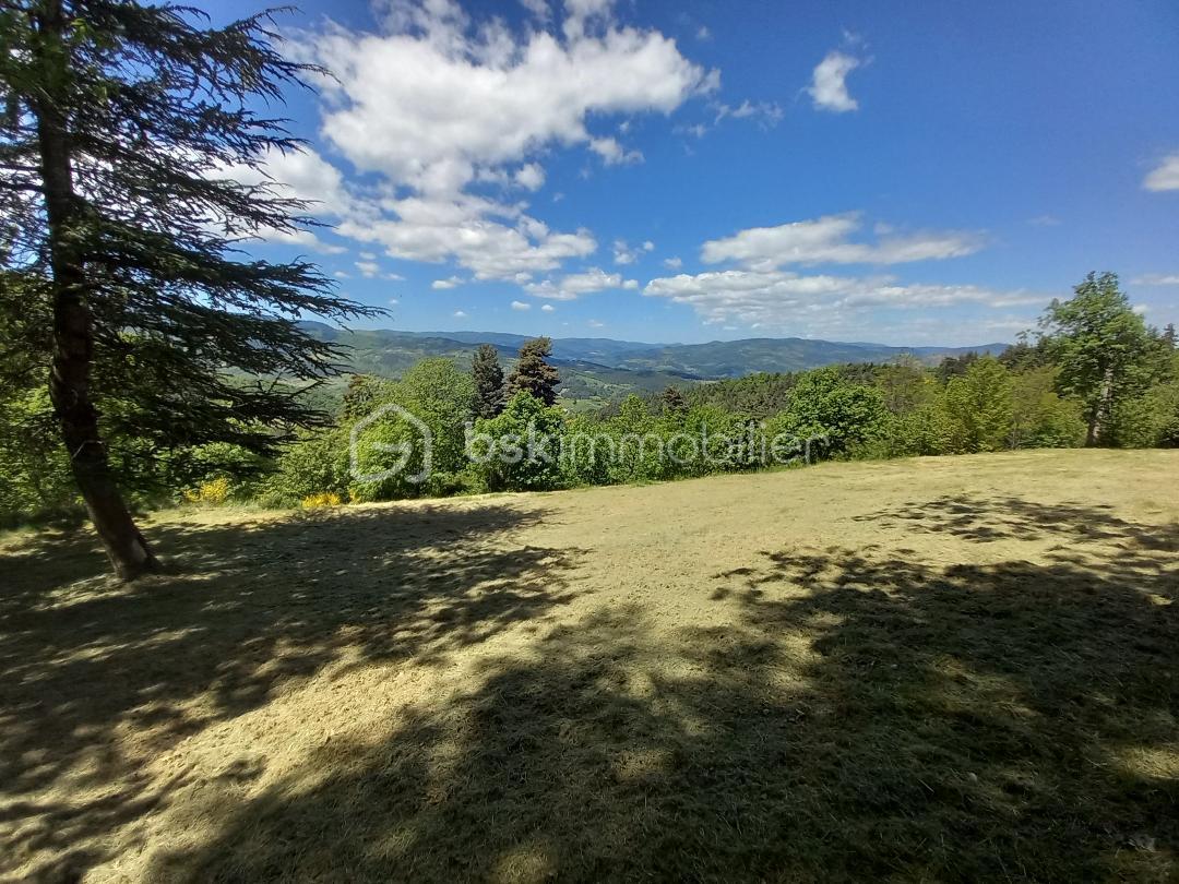 Domaine de 270 m² - T6.jpg