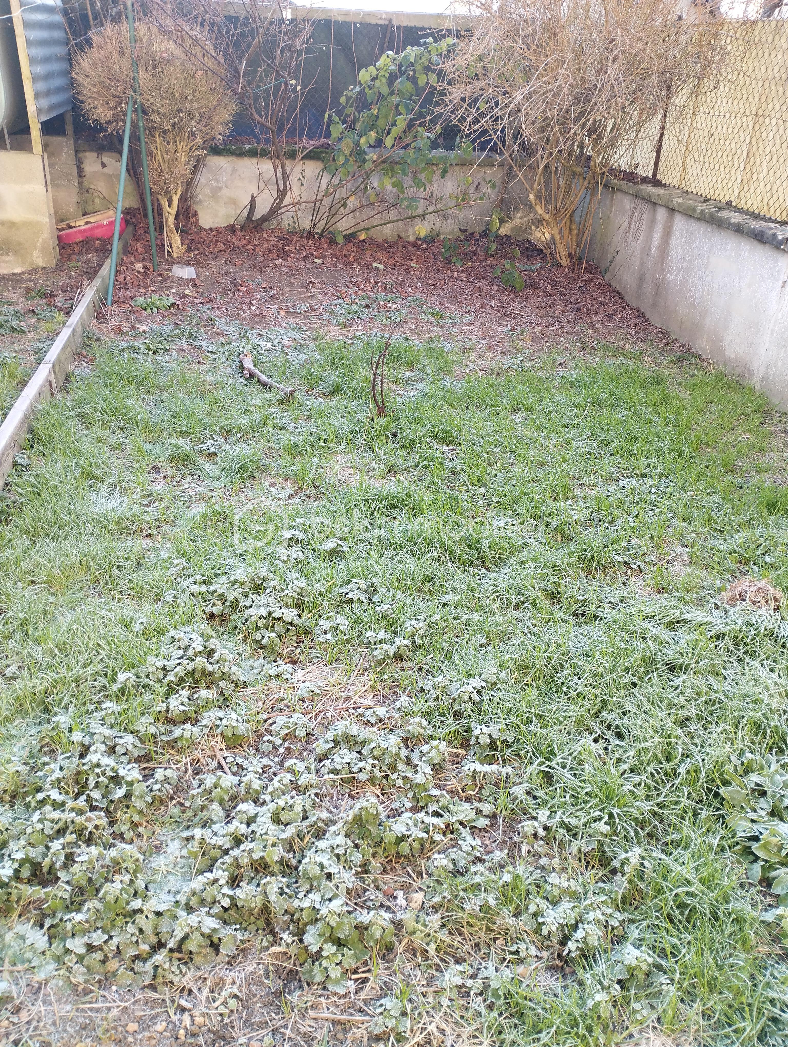 Maison de 60 m² - Terrain (2).jpg