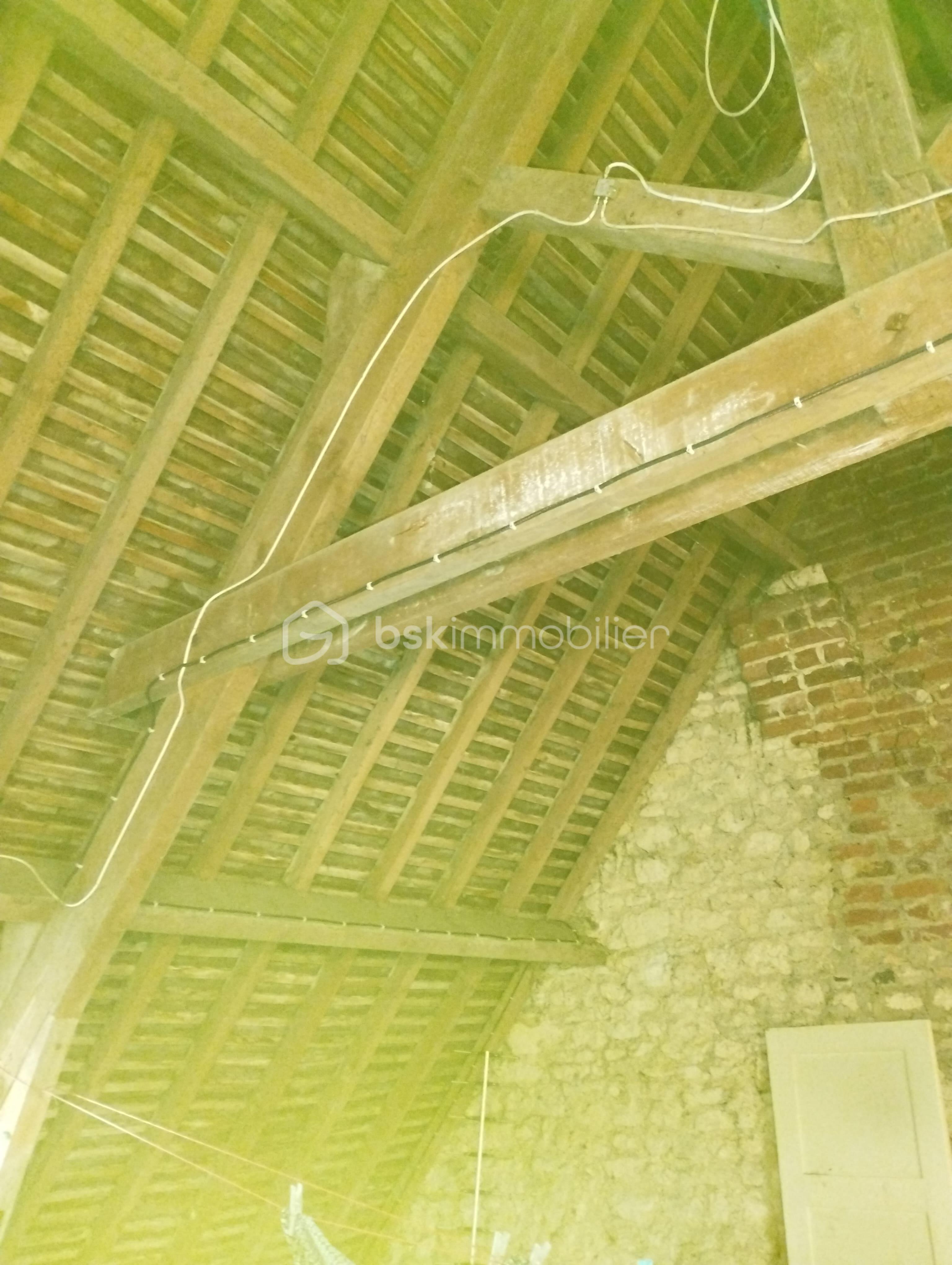 Maison de 60 m² - Charpente.jpg