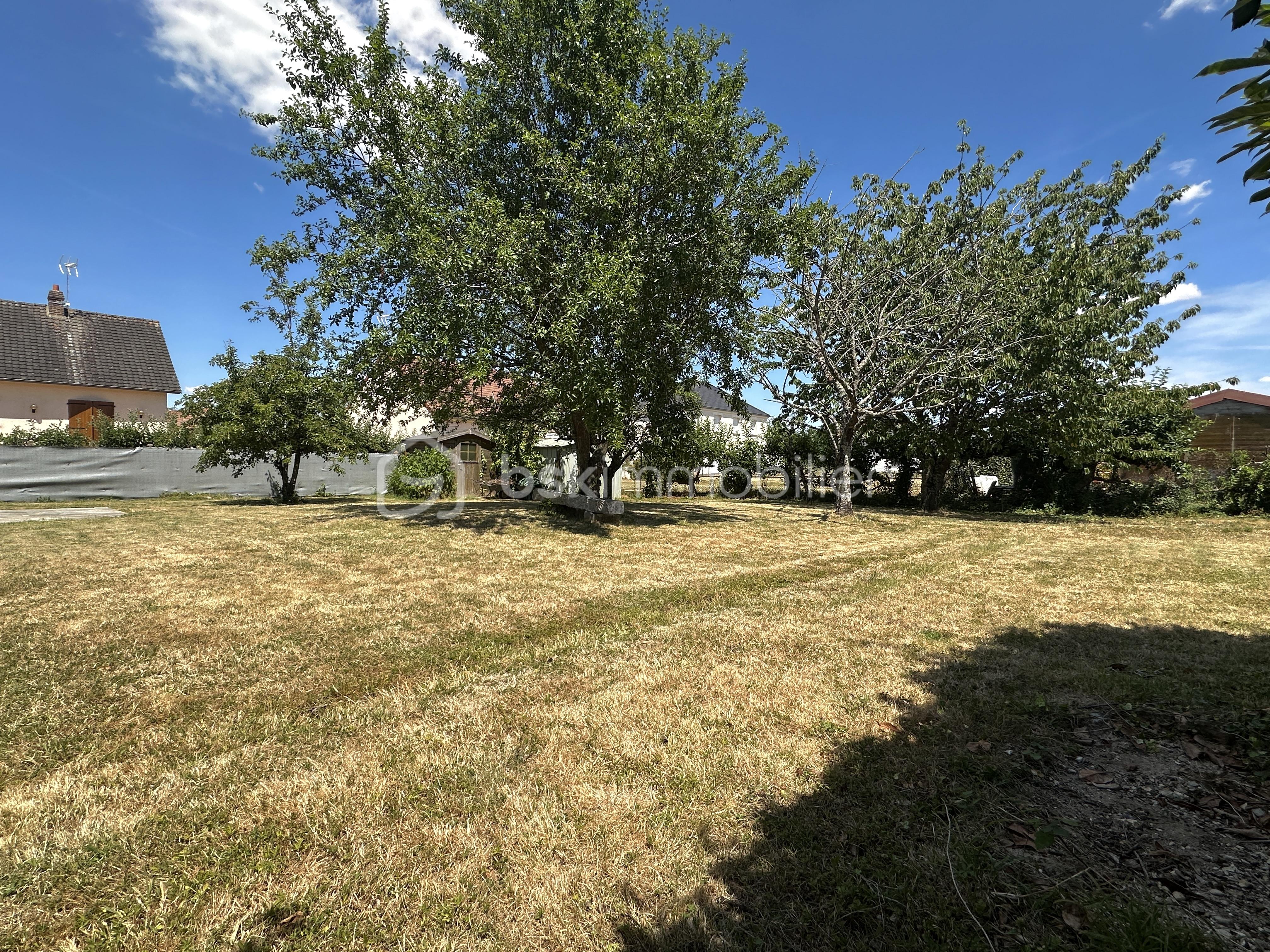 IMG_0965.JPG