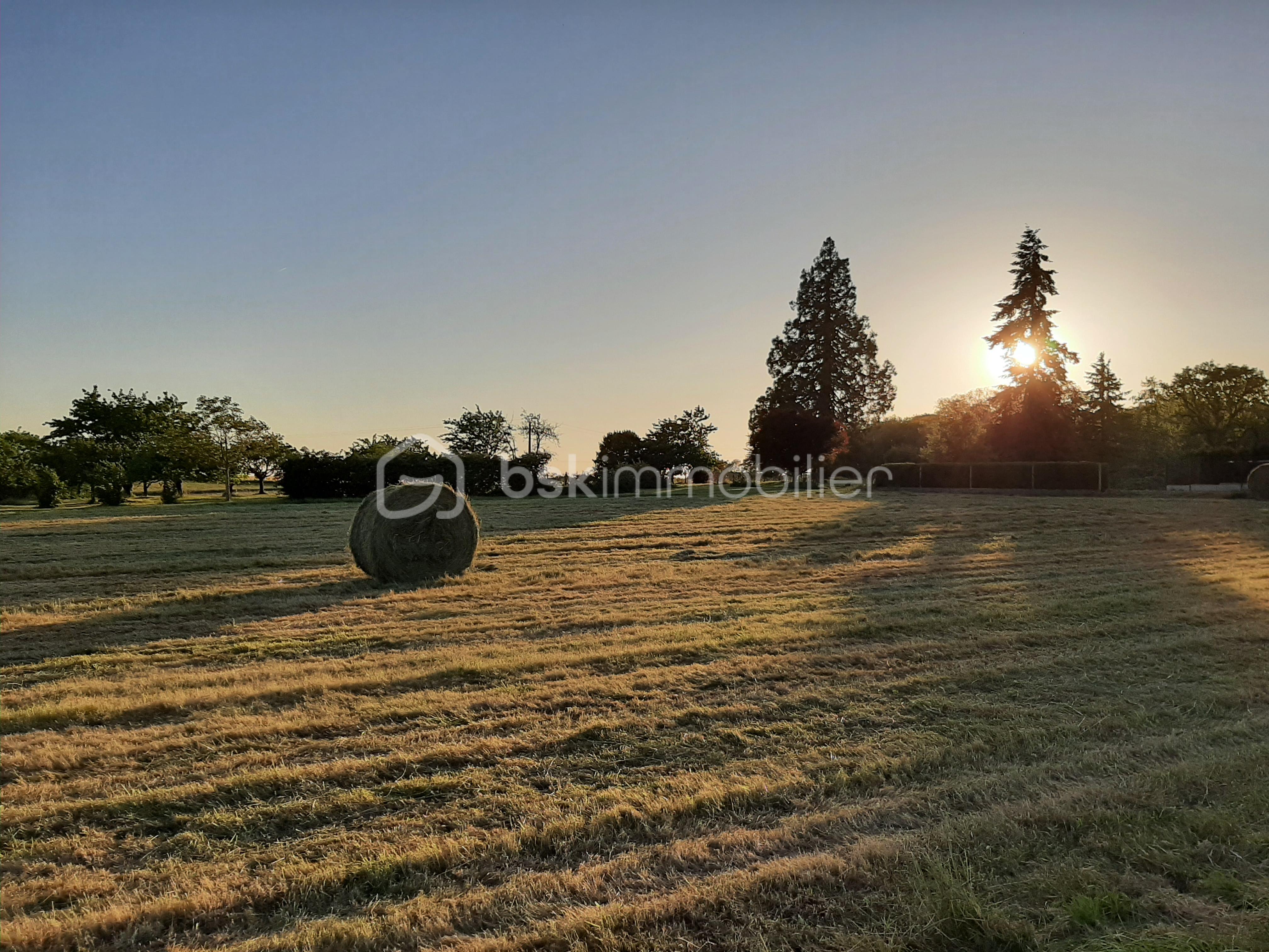 Terrain de 616 m² - 20230531_204414.jpg