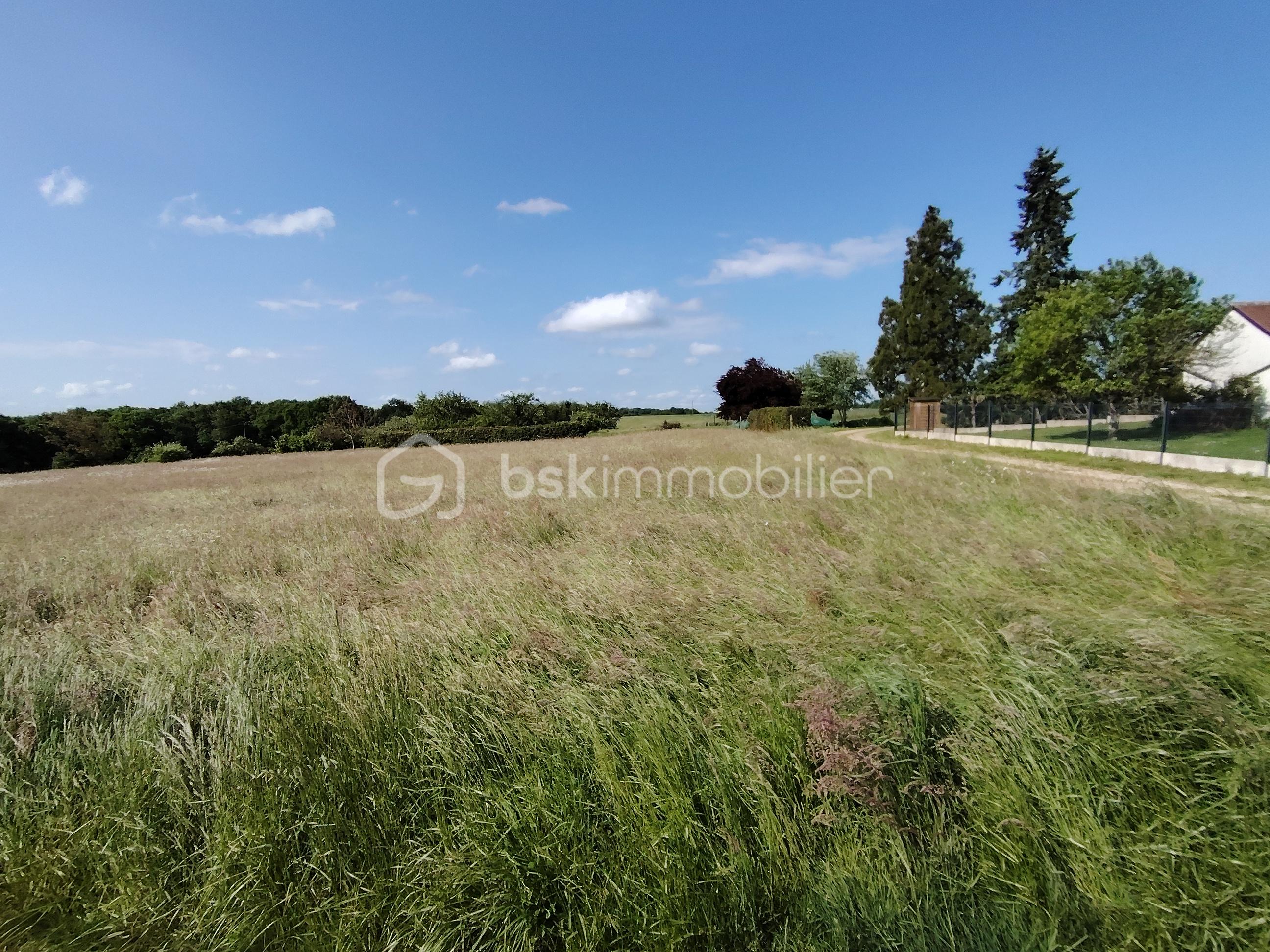 Terrain de 616 m² - IMG_20250505_105609.jpg