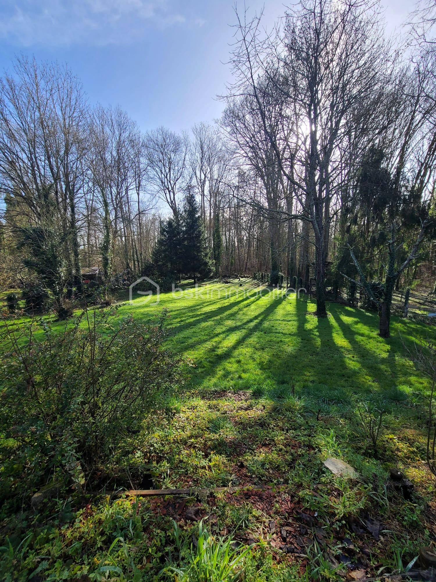 Extérieur jardin hiver.jpeg