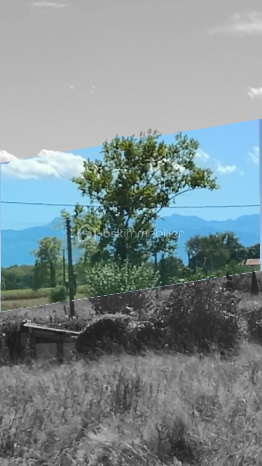 Terrain de 1 500 m² - image moitié noir et blanc contre couleur.jpg