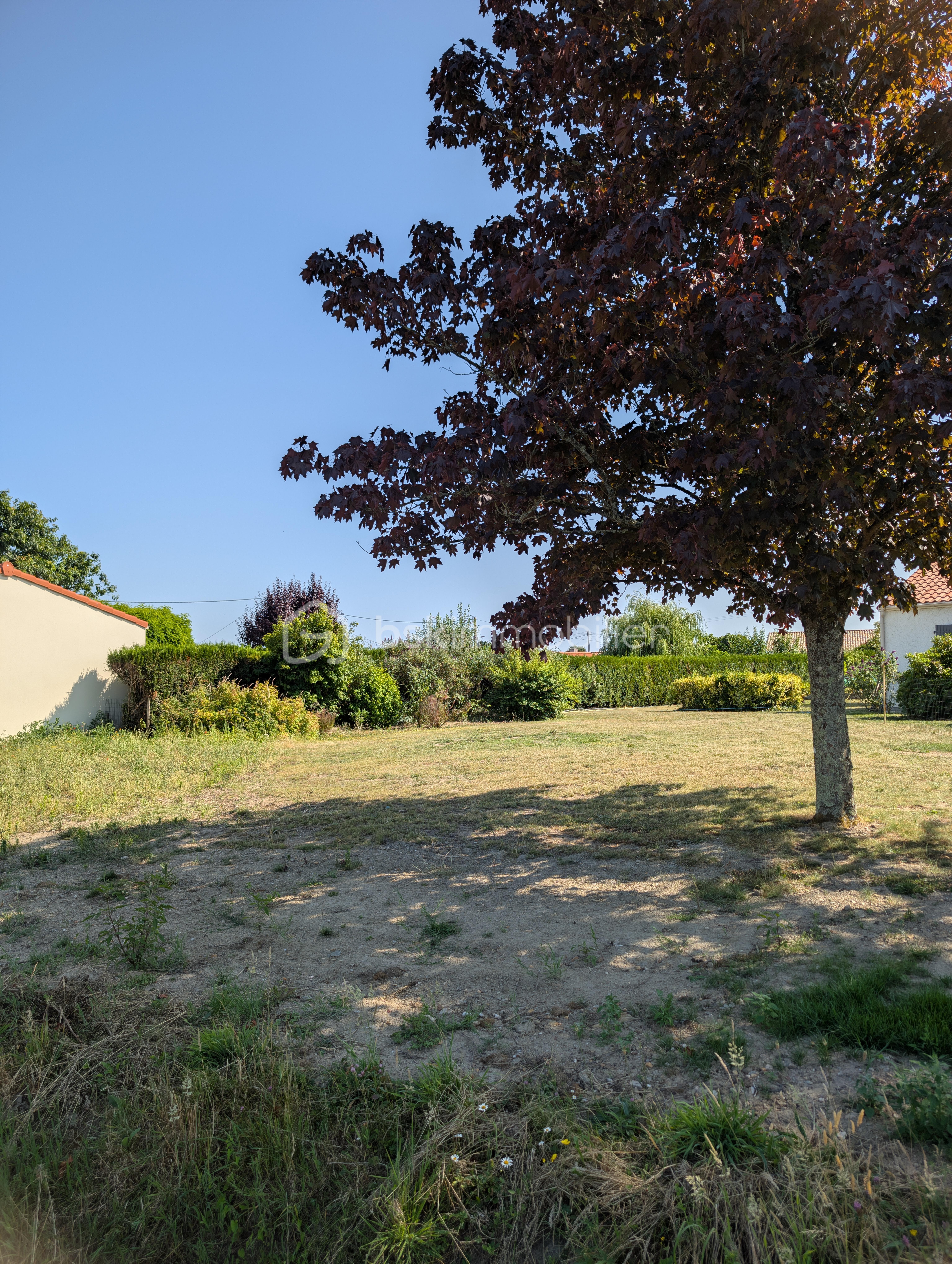 Terrain de 483 m² - PXL_20250617_153856752.jpg