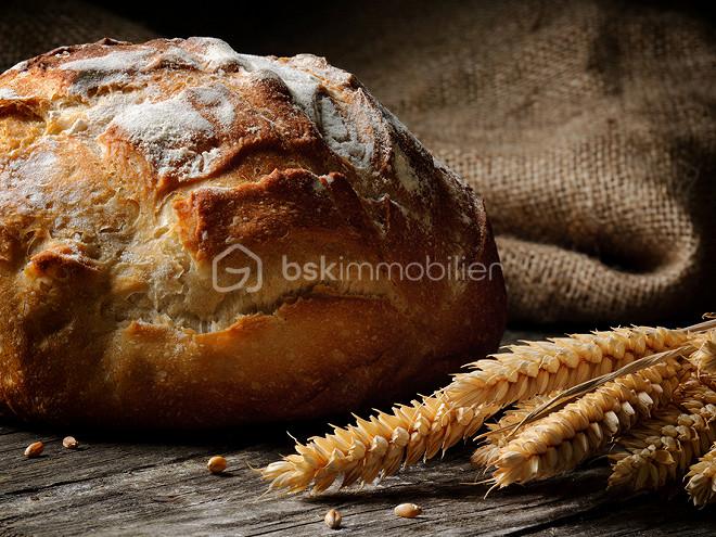 nathalie pain de campagne.JPEG