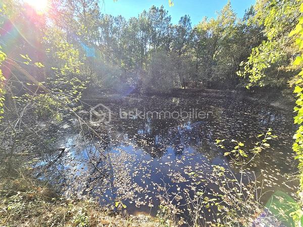 Maison de 187 m² - 20251015_105824.jpg