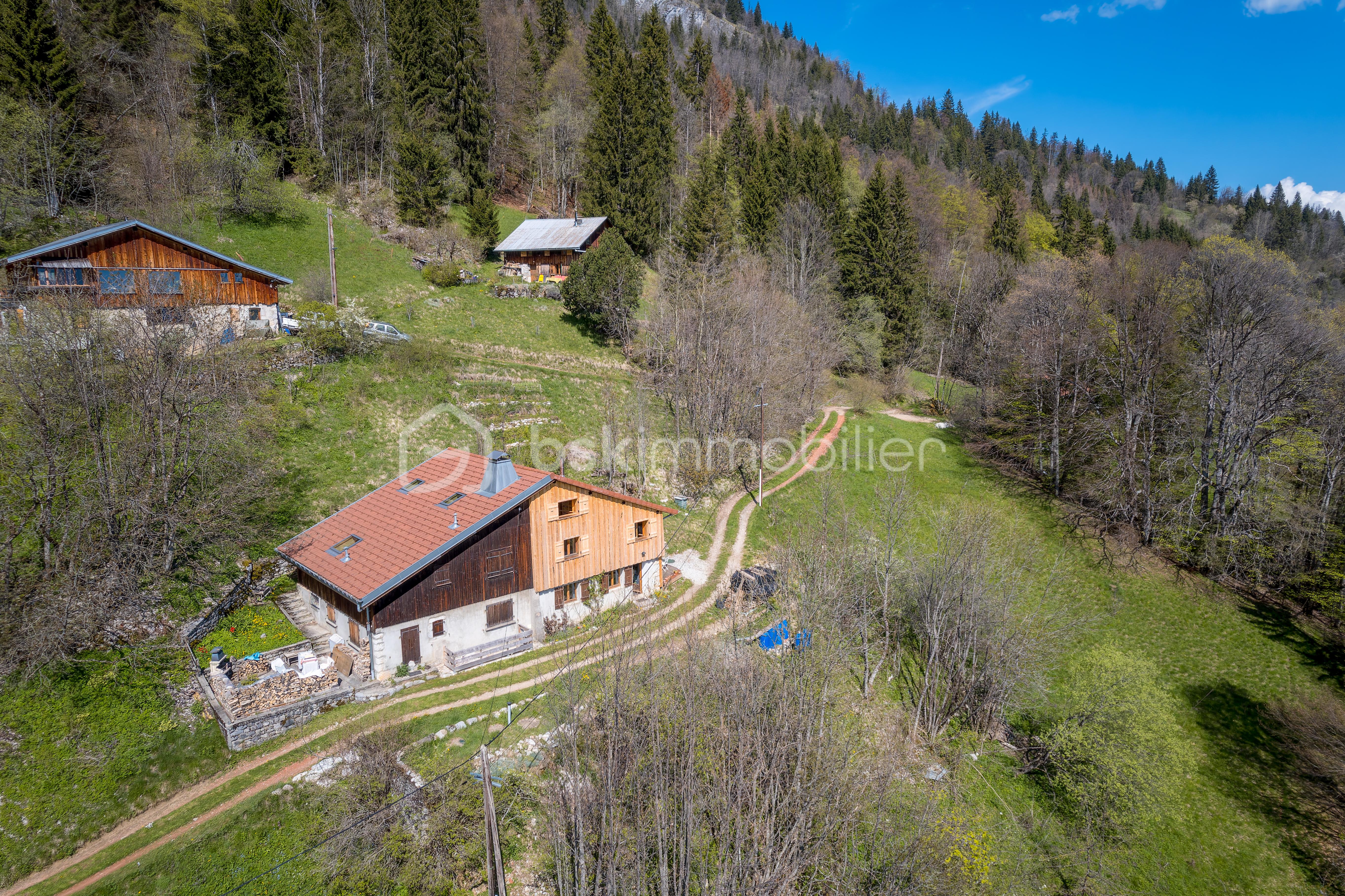 20250429-DJI_0160-HDR-Modifier.jpg