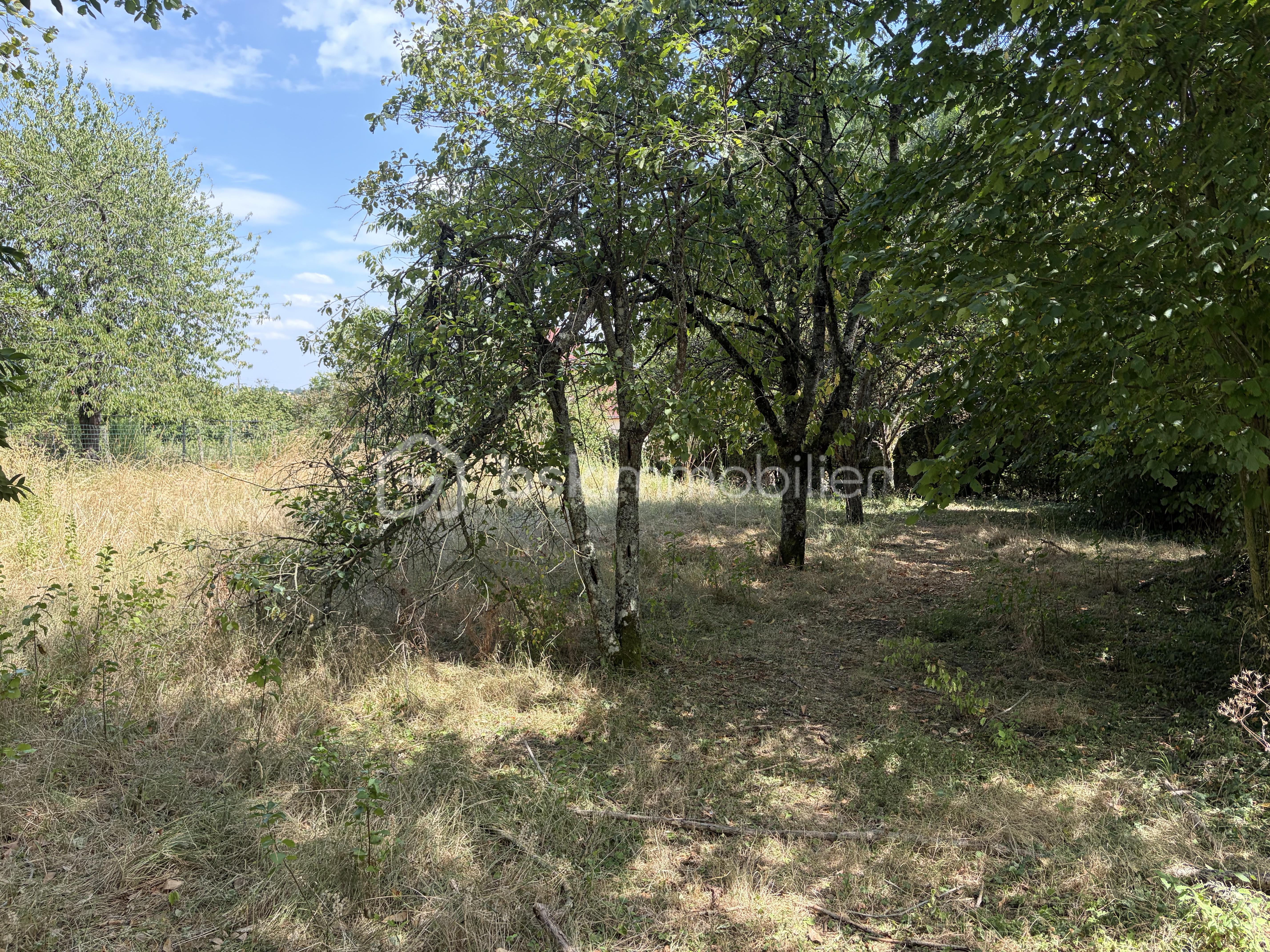 IMG_1232.jpeg
