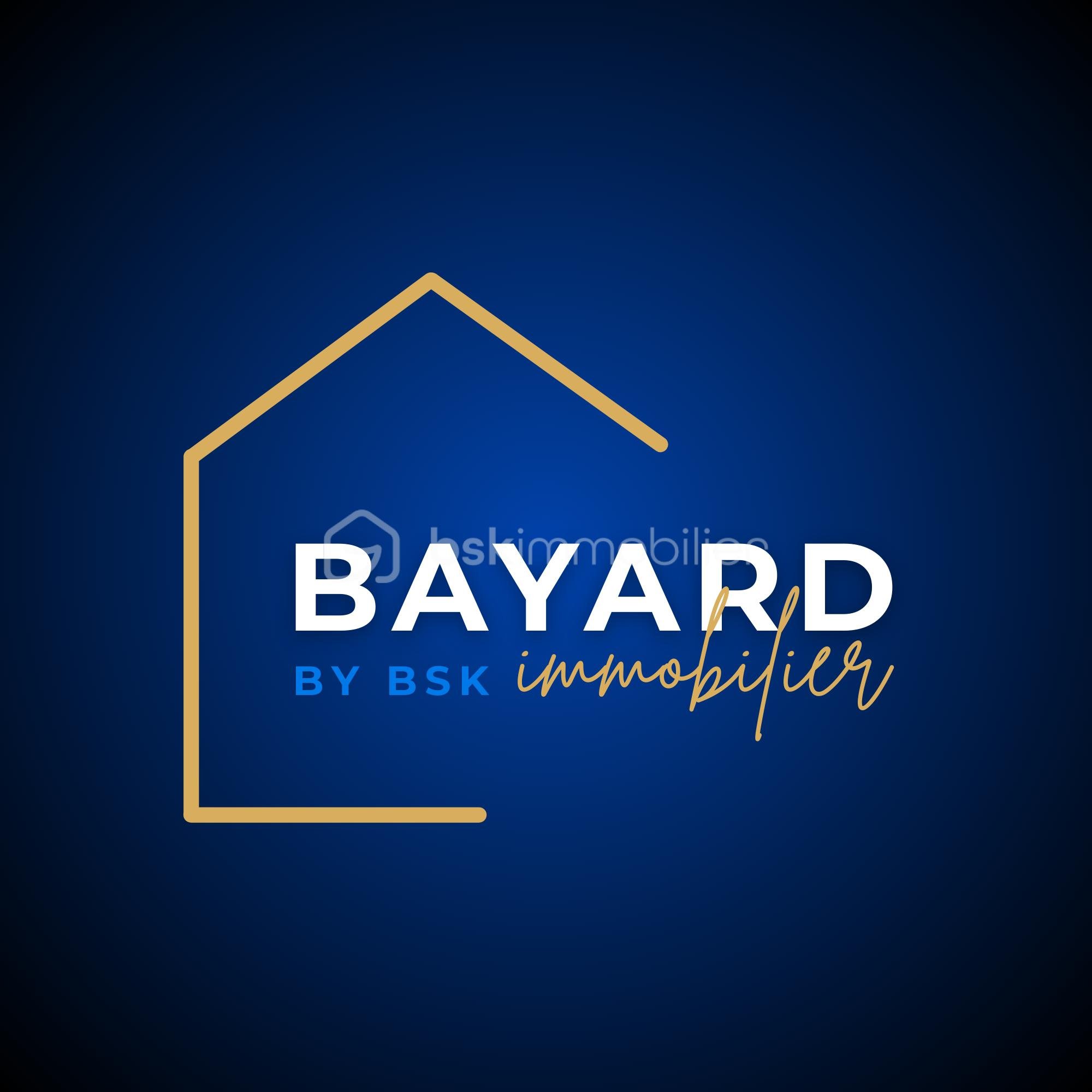 LOGO BSK IMMO.png
