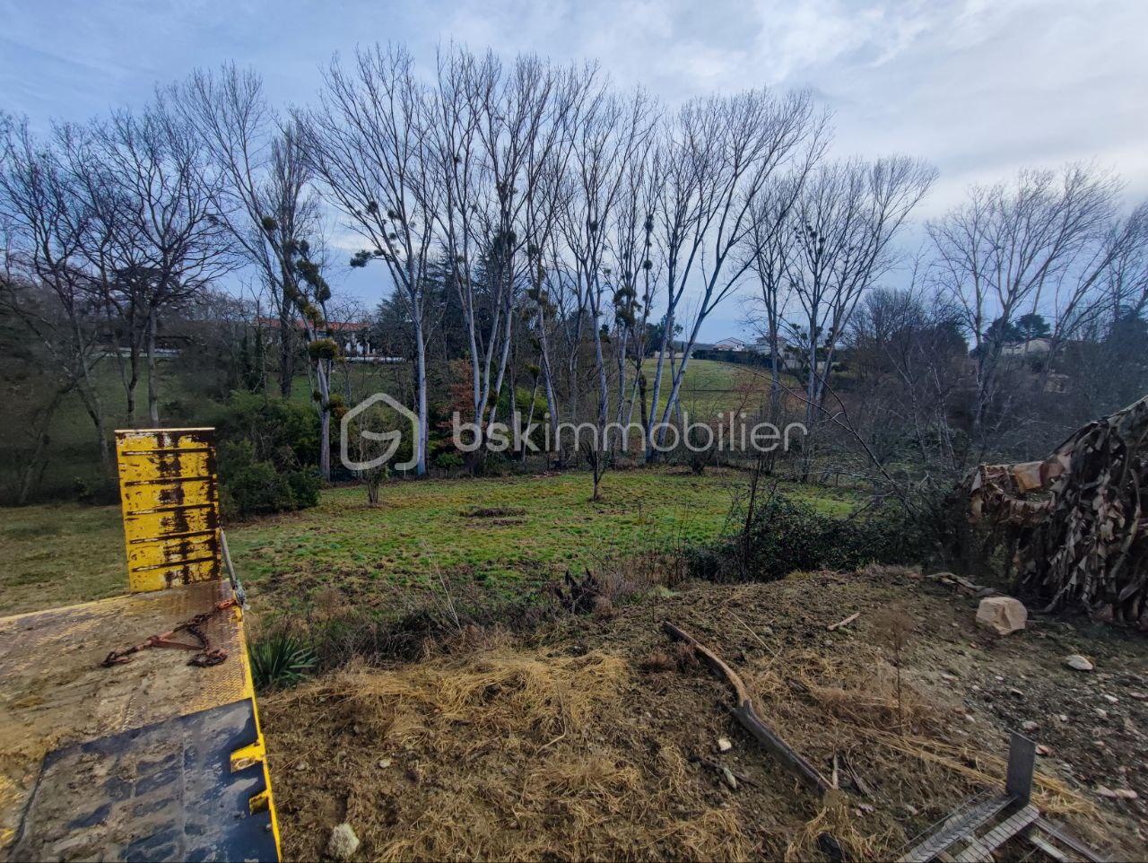 Terrain de 3 355 m² - photo_2026-01-16_15-38-01.jpg