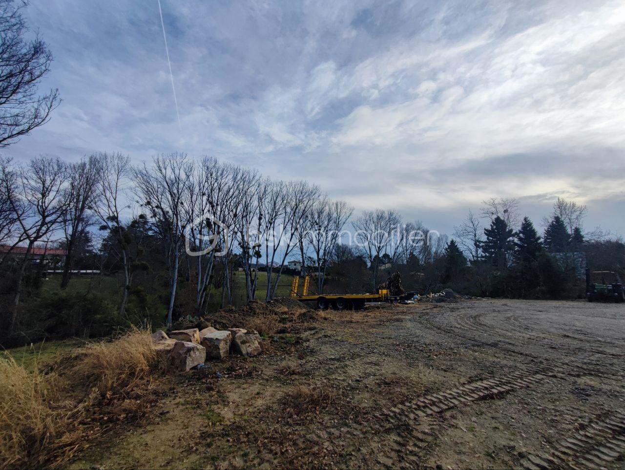 Terrain de 3 355 m² - photo_2026-01-16_15-38-00.jpg