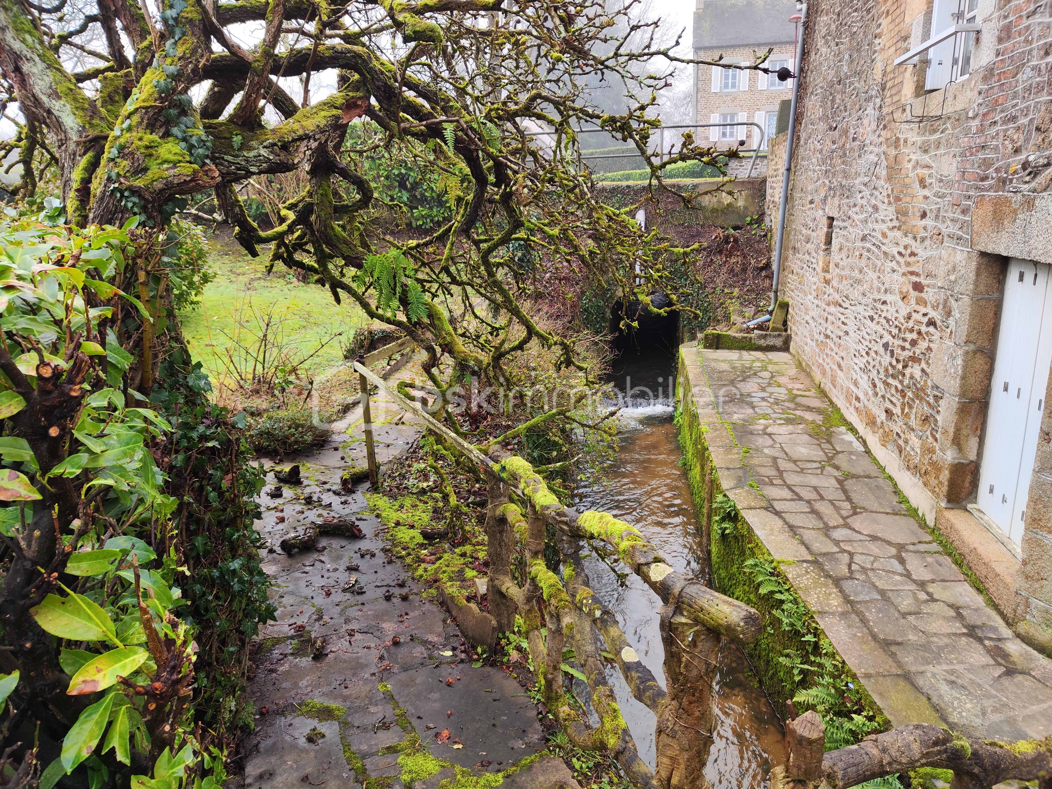 Maison en pierre de 100 m² - 1000028321.jpg