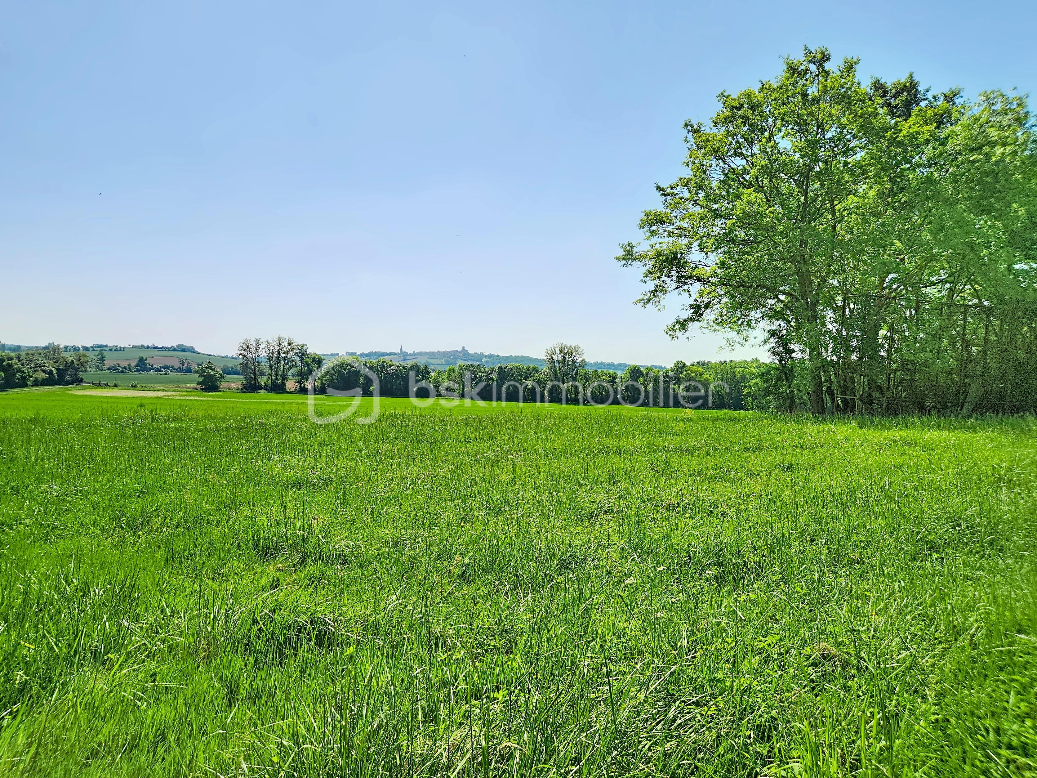 sari_00016.jpg
