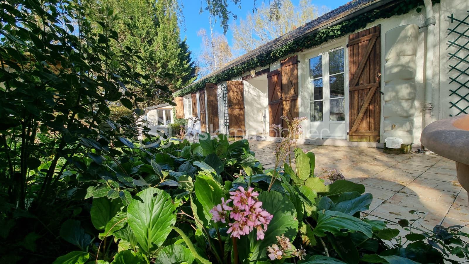 WhatsApp Image 2026-03-17 at 19.08.25.jpeg