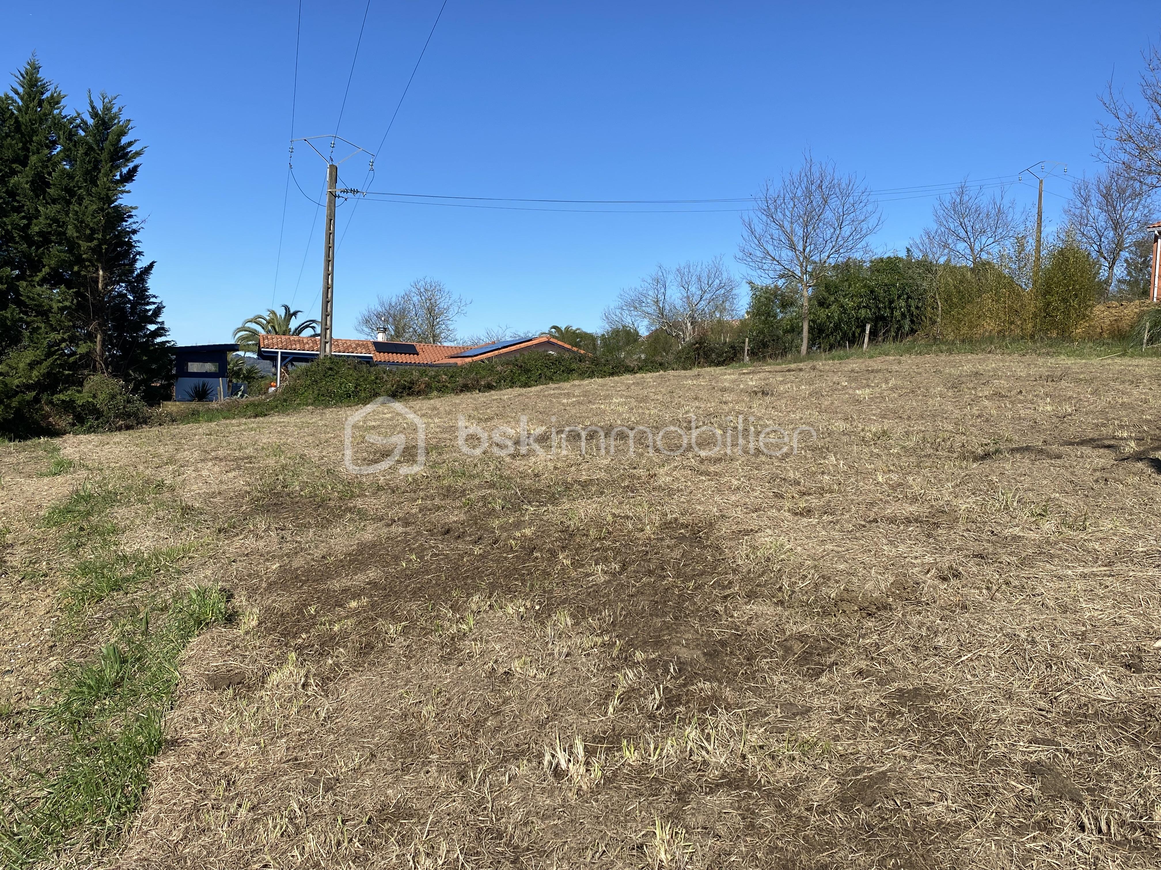 Terrain de 1 754 m² - IMG_4037.JPG
