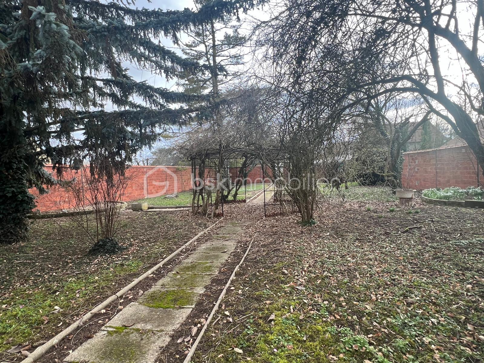 WhatsApp Image 2026-02-04 at 19.28.44.jpeg