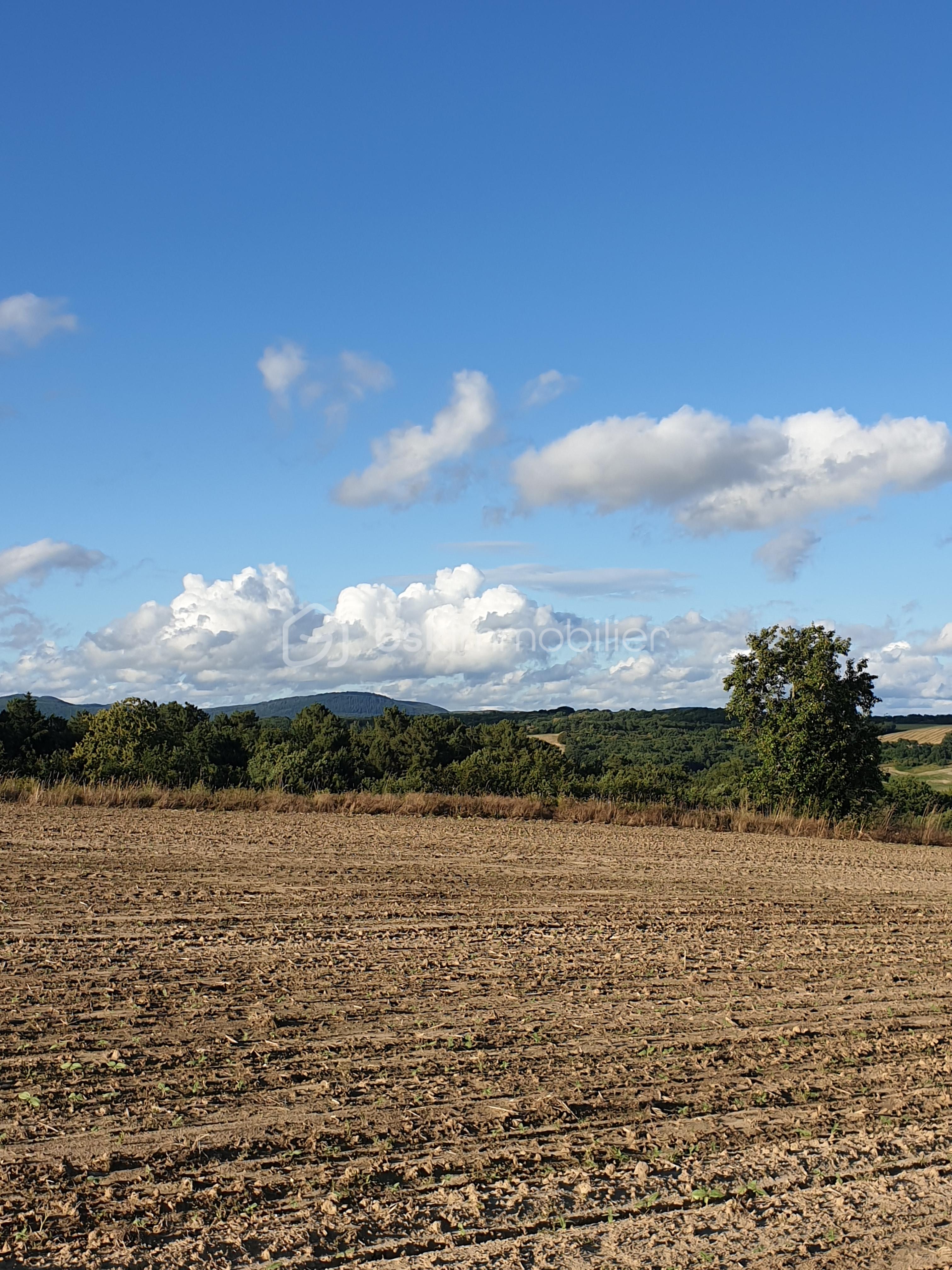 Terrain de 2 061 m² - 20200617_195748.jpg