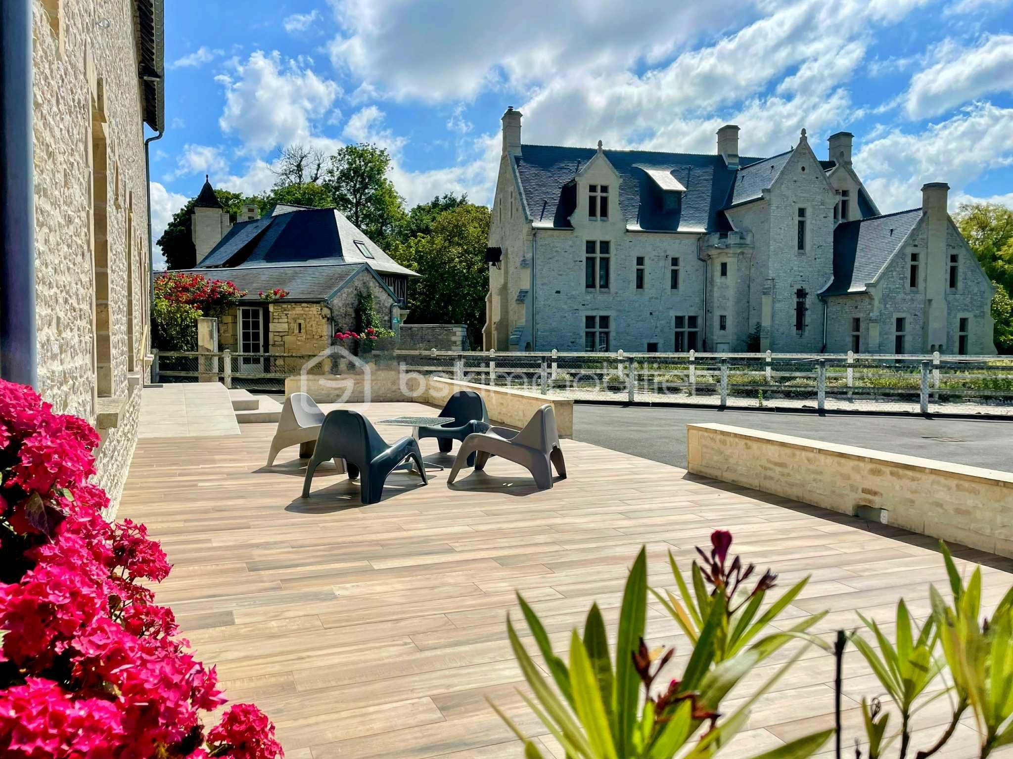 Maison ancienne de 299 m² - terr3.jpg