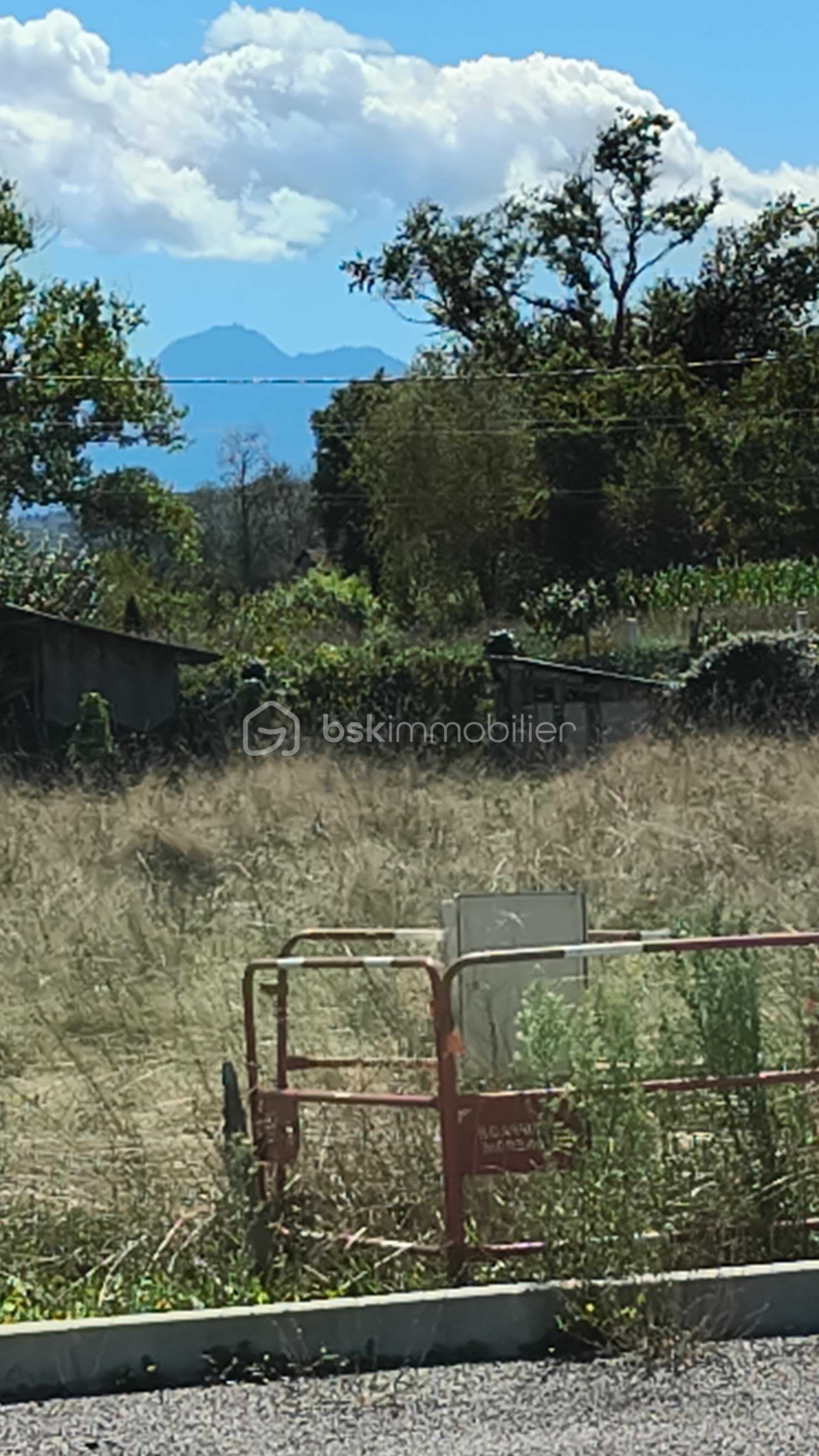 Terrain de 1 400 m² - IMG_20250903_15123412.jpg