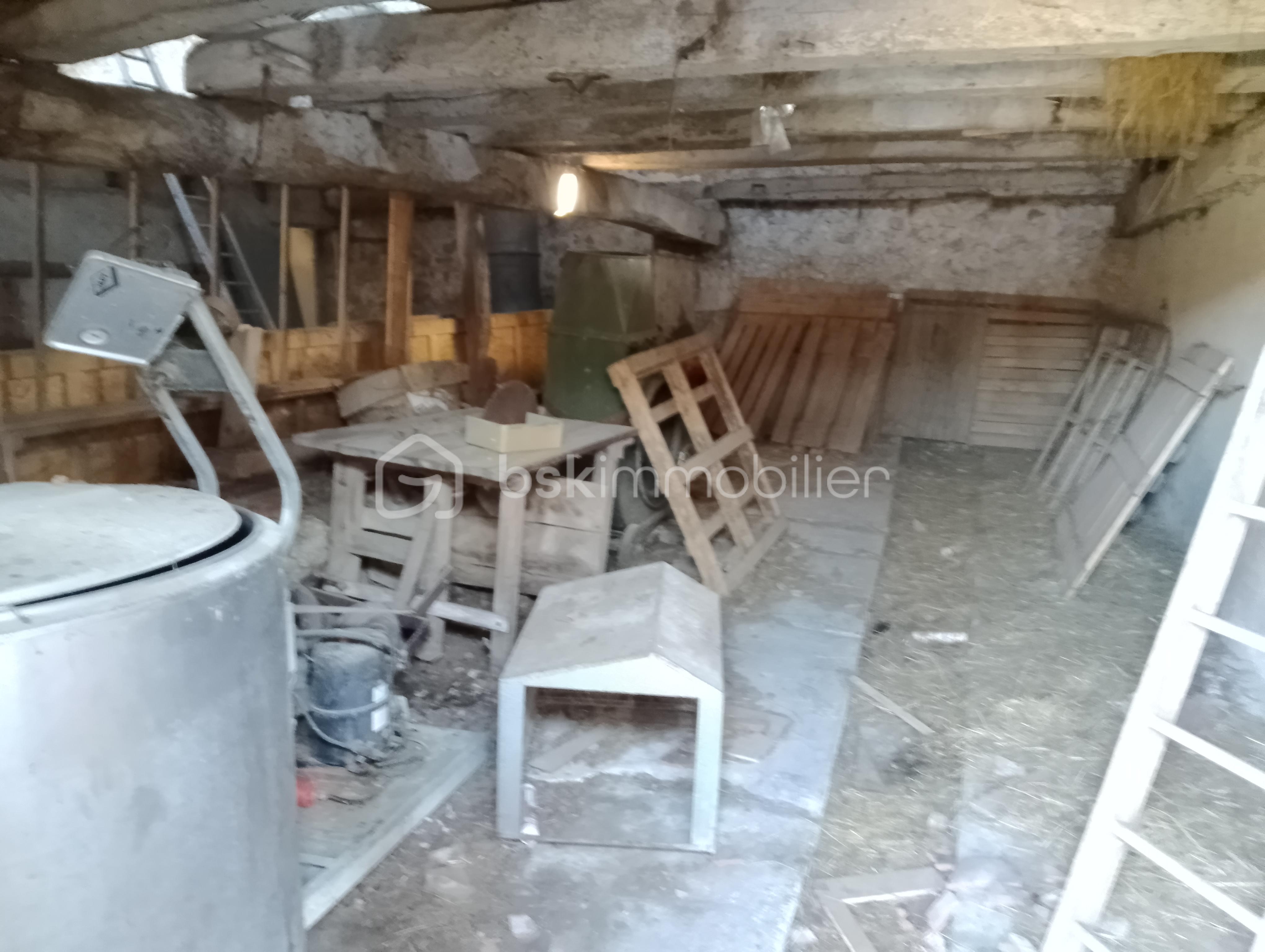 Maison de 300 m² - IMG_20250319_082336.jpg