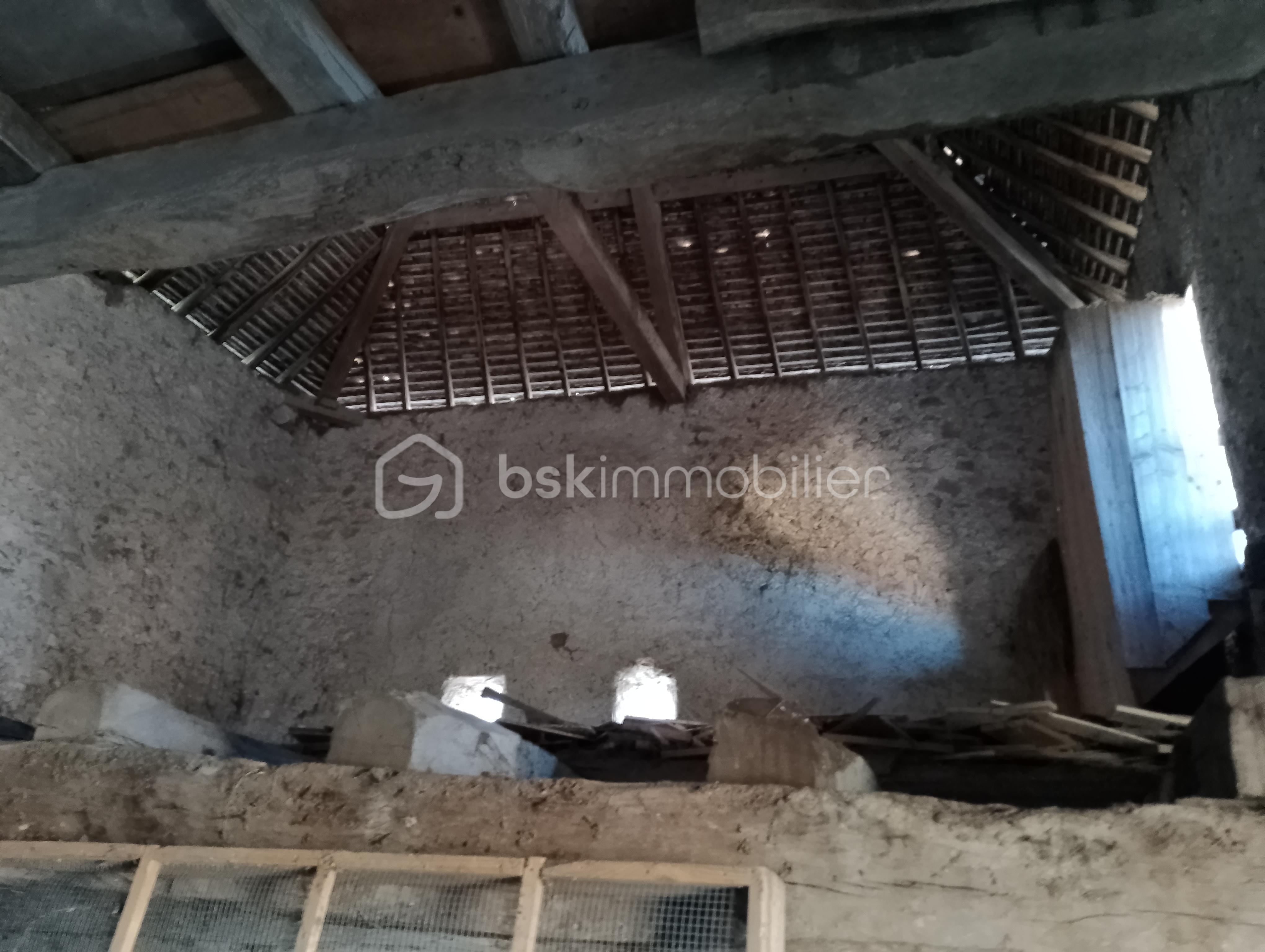 Maison de 300 m² - IMG_20250319_082434.jpg