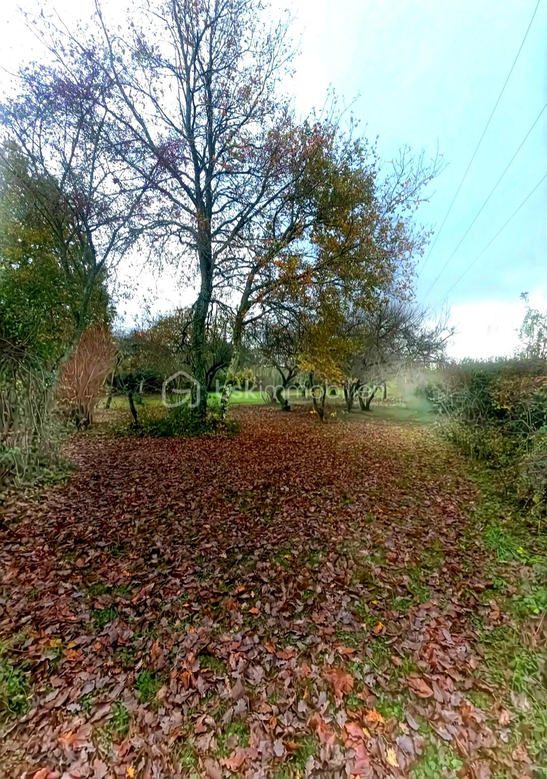 jardin verdoyant.jpg