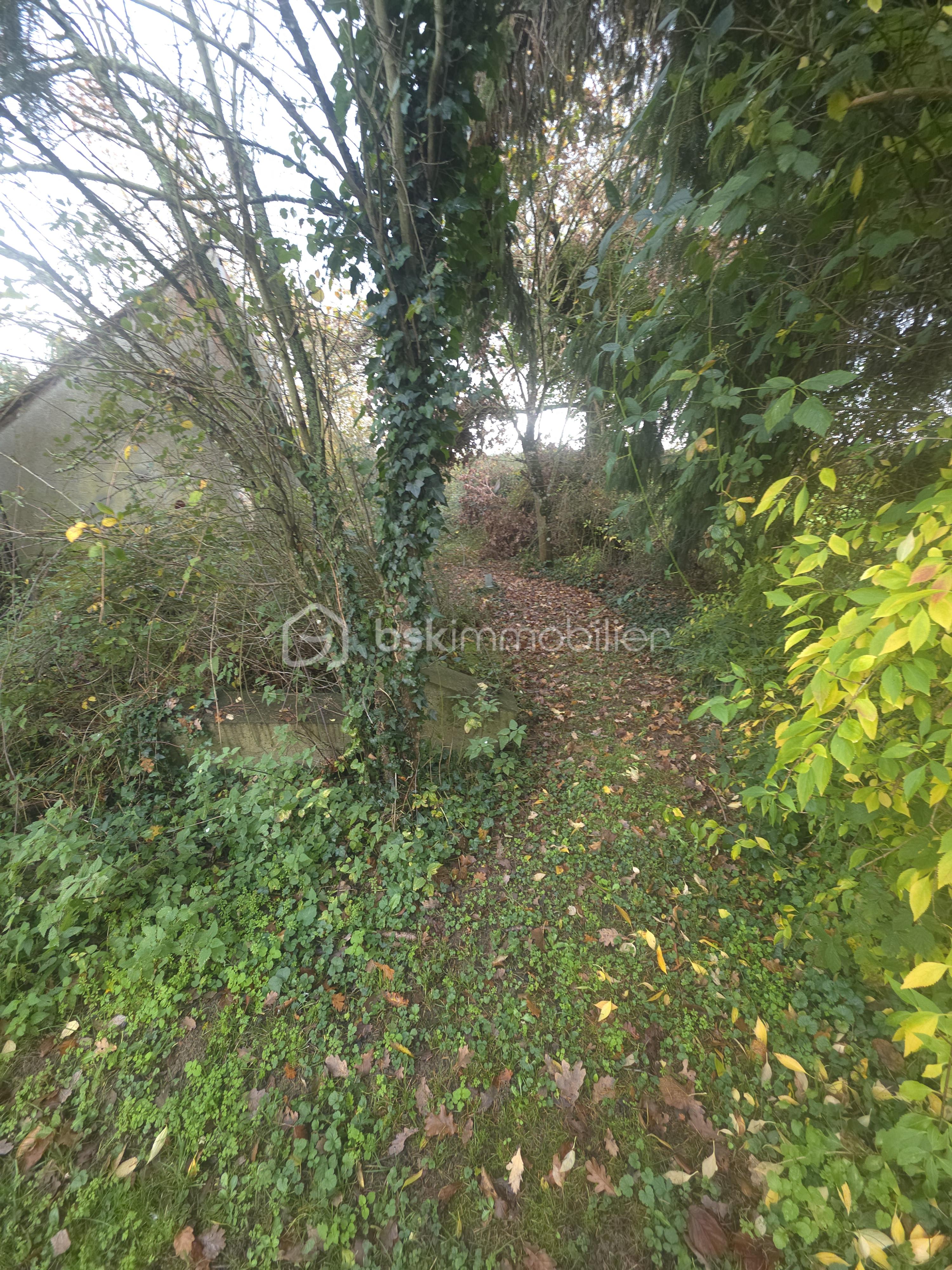 Maison de 210 m² - 20251120_123100.jpg