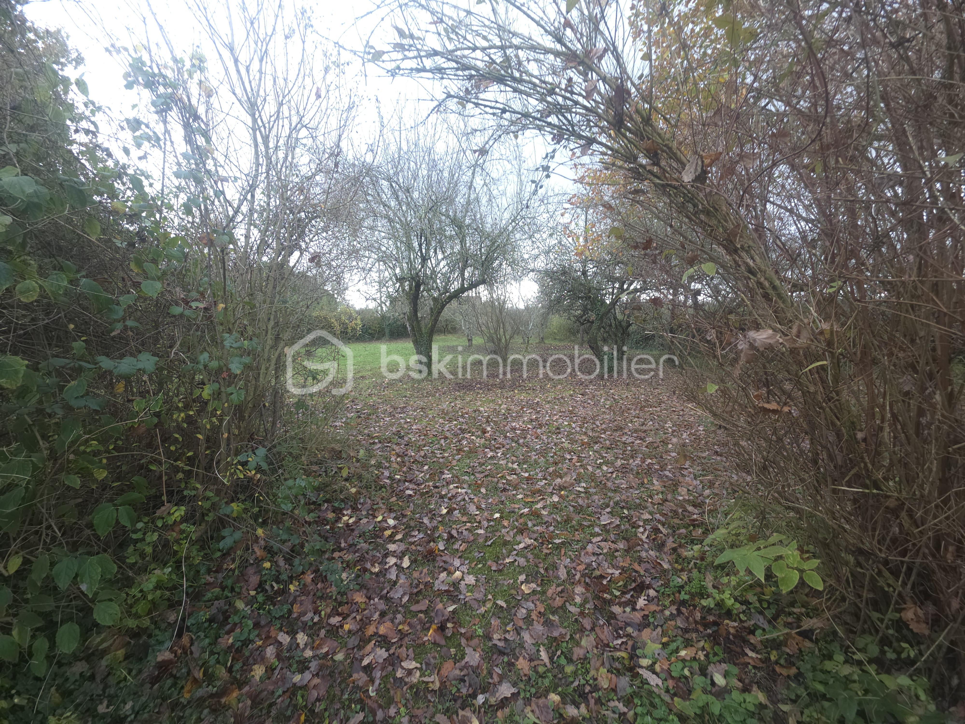 Maison de 210 m² - 20251120_123139.jpg