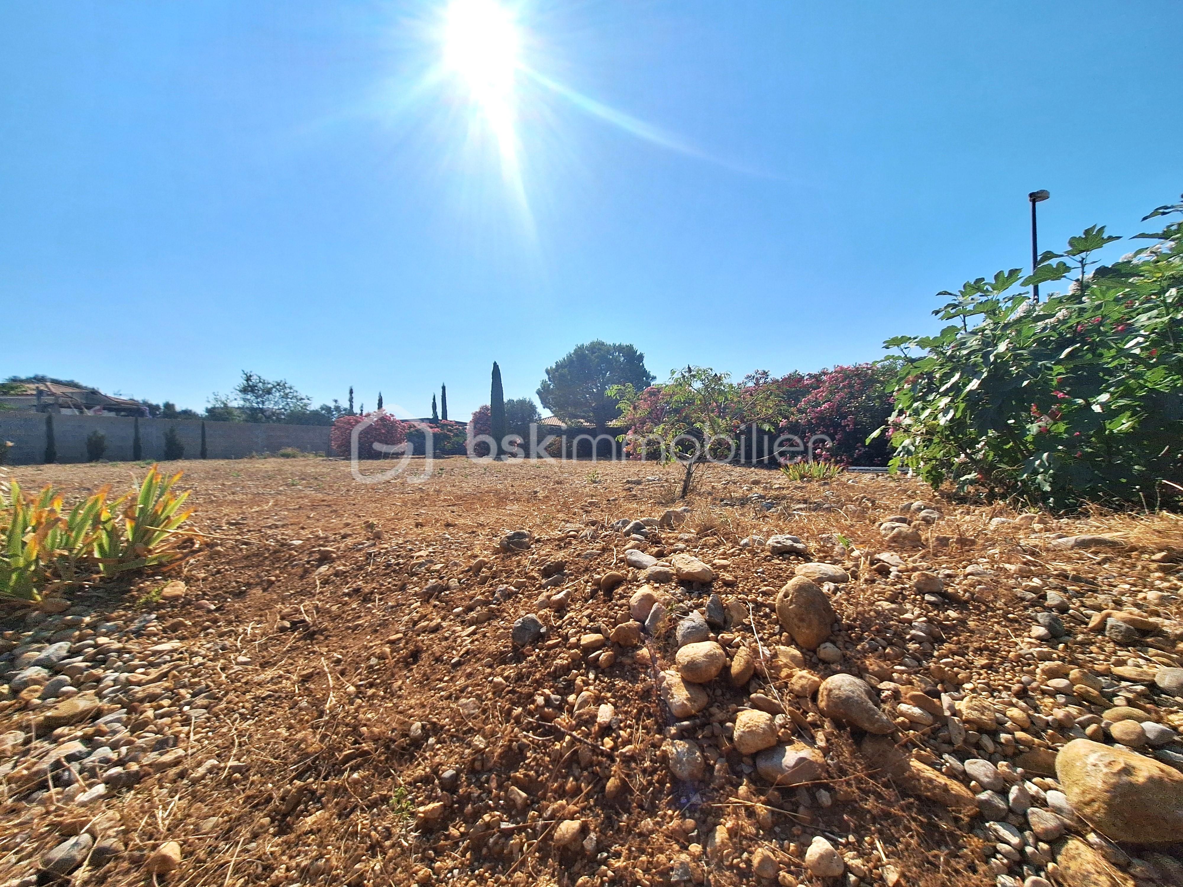 Terrain de 1 015 m² - 1000024097.jpg