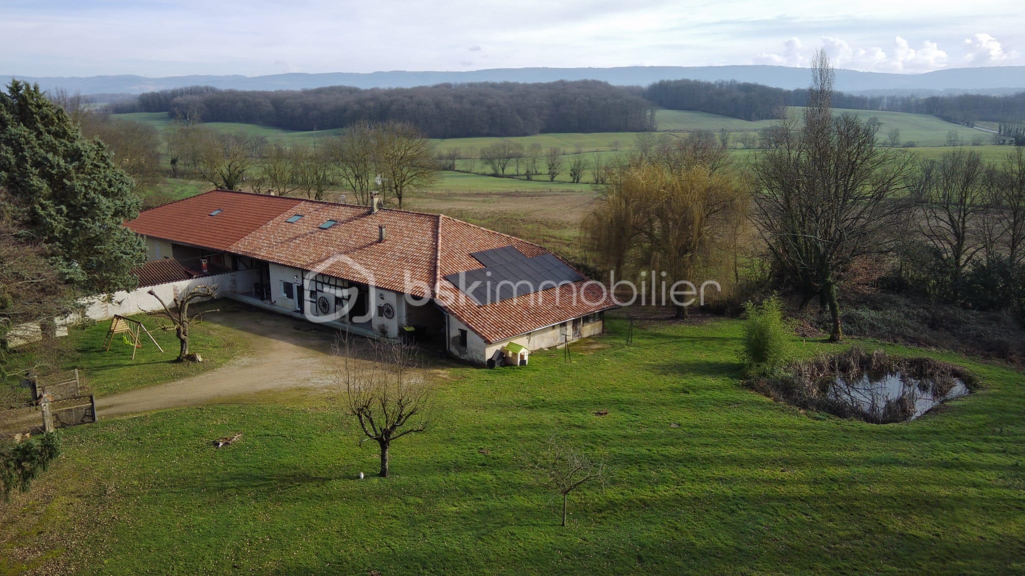 vue drone entrée et terrain.jpeg