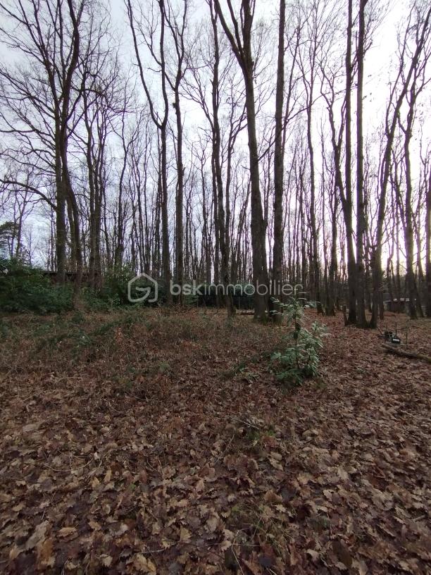 Terrain de 2 664 m² - 1768399723813.jpg