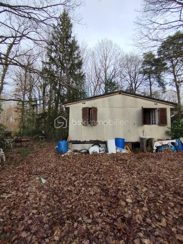 Terrain de 2 664 m² - 1768400050027.jpg