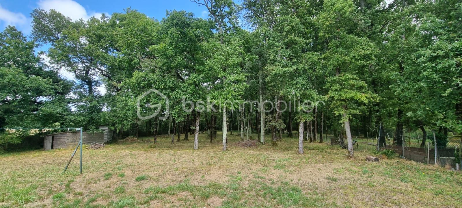 Maison de 160 m² - jardin arriere boisé.jpeg