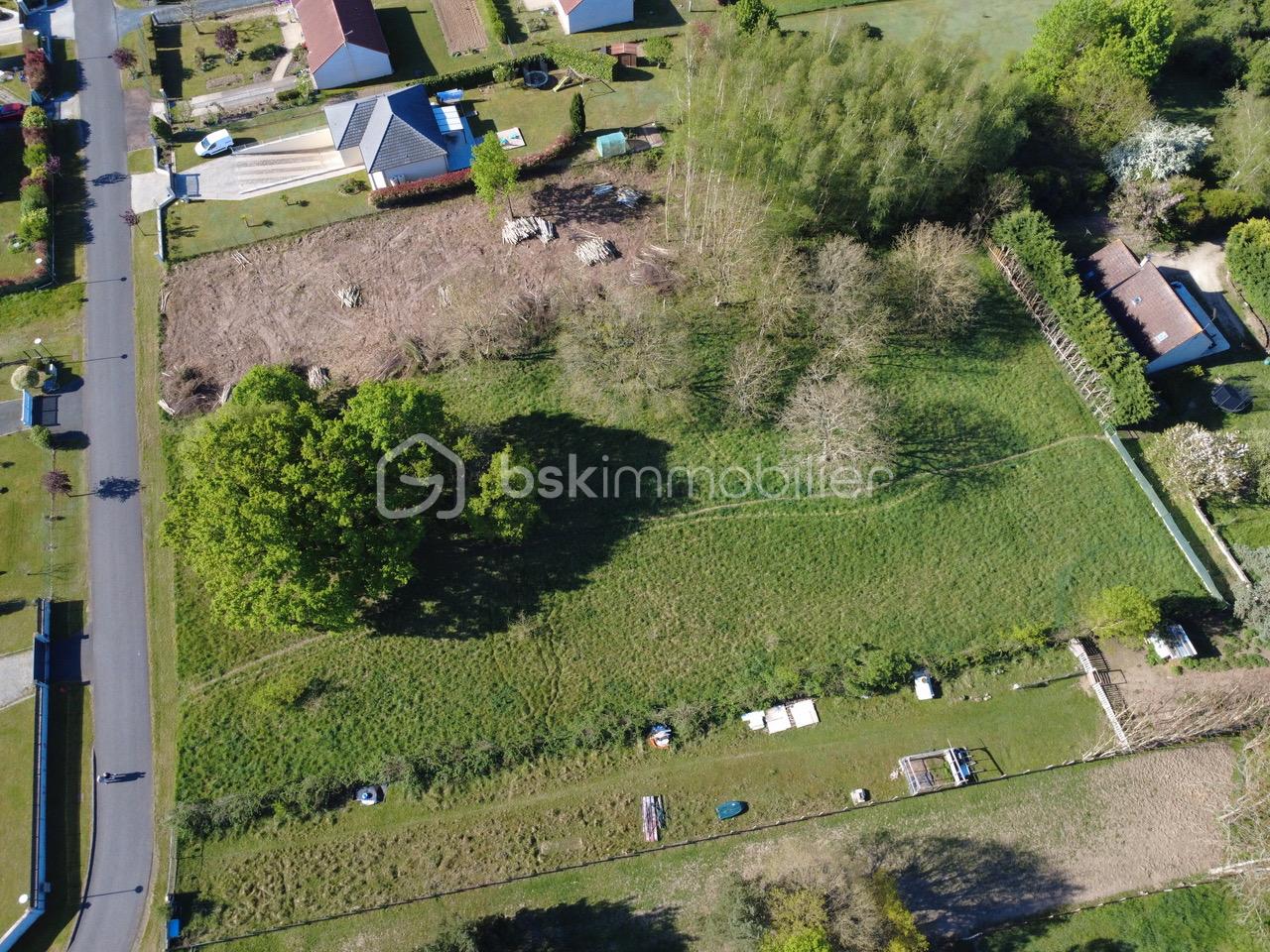 DJI_0196.jpeg