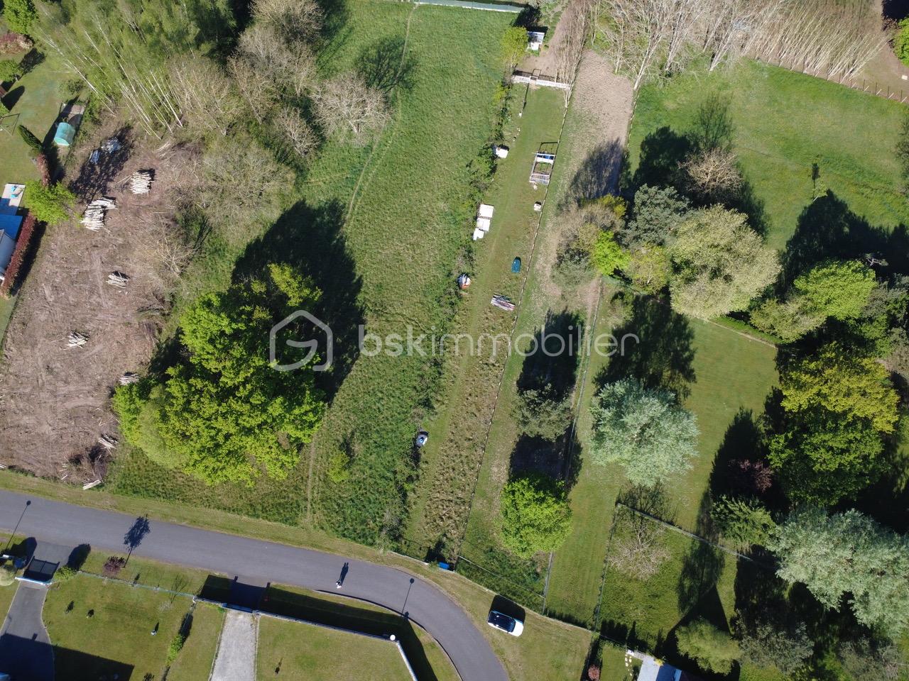 DJI_0187 (1).jpeg