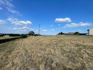 Terrain de 994 m² - Photo 1.JPG