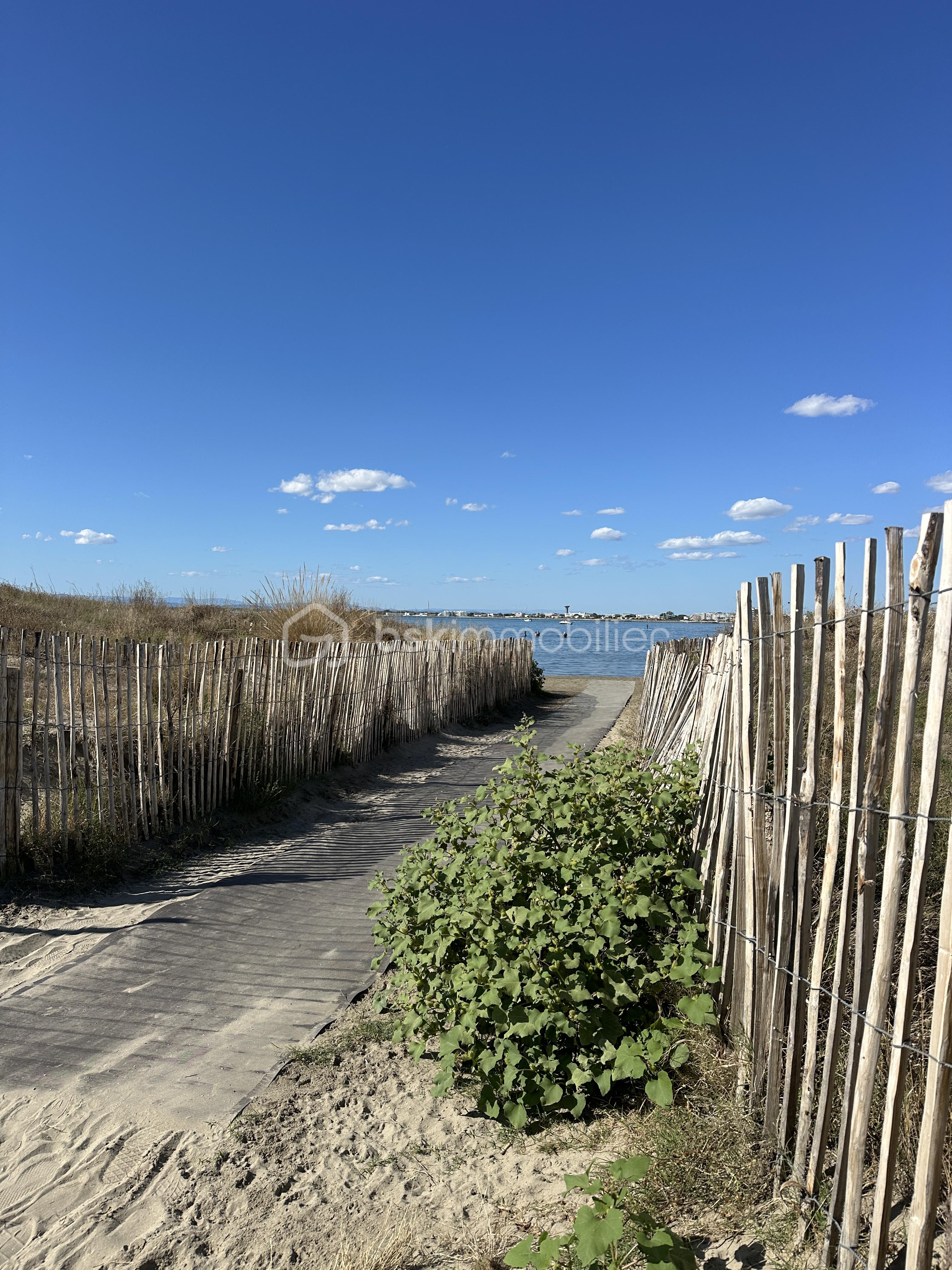 IMG_5188 2.jpeg