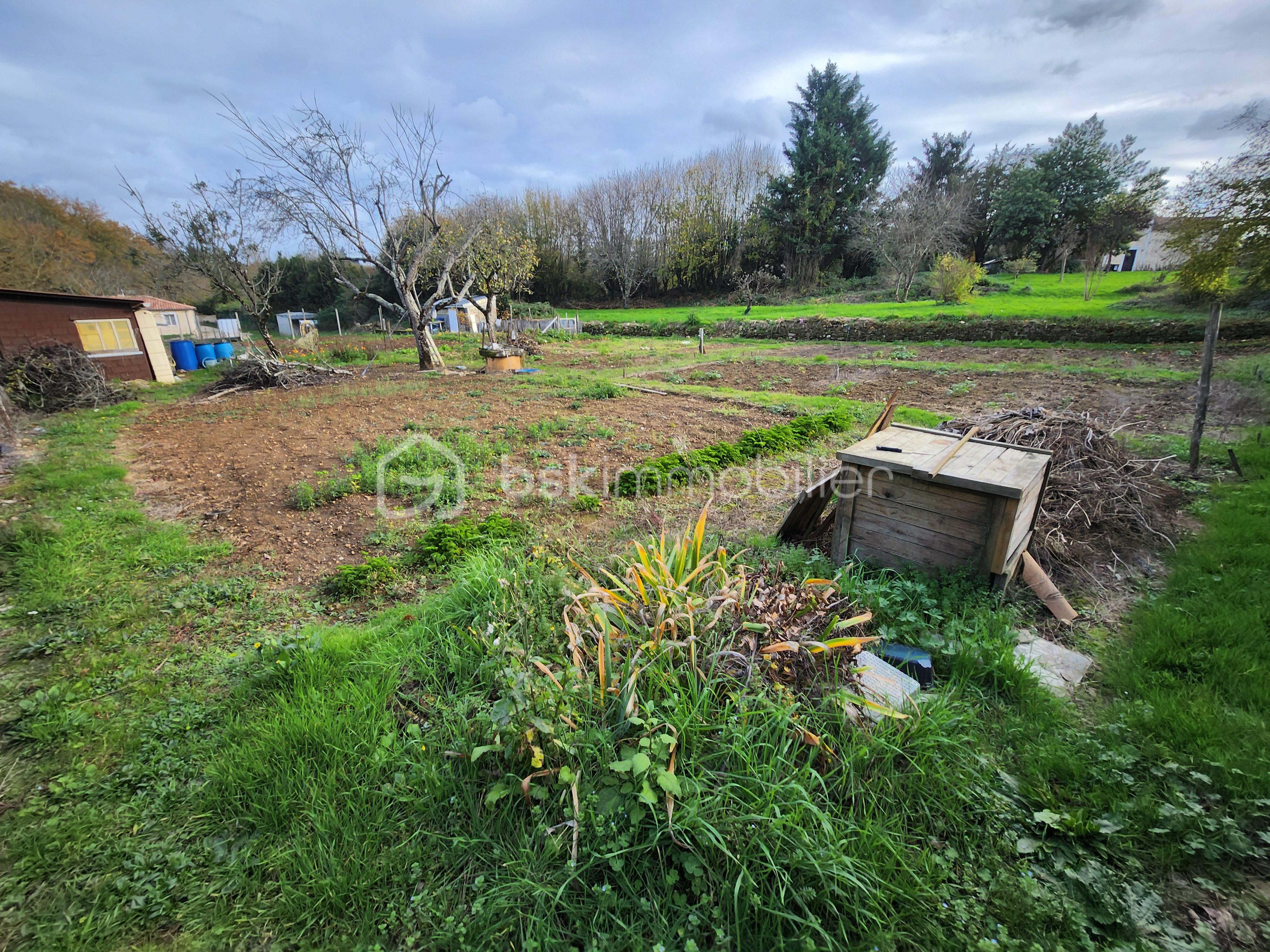 Terrain de 535 m² - 20251114_150215.jpg