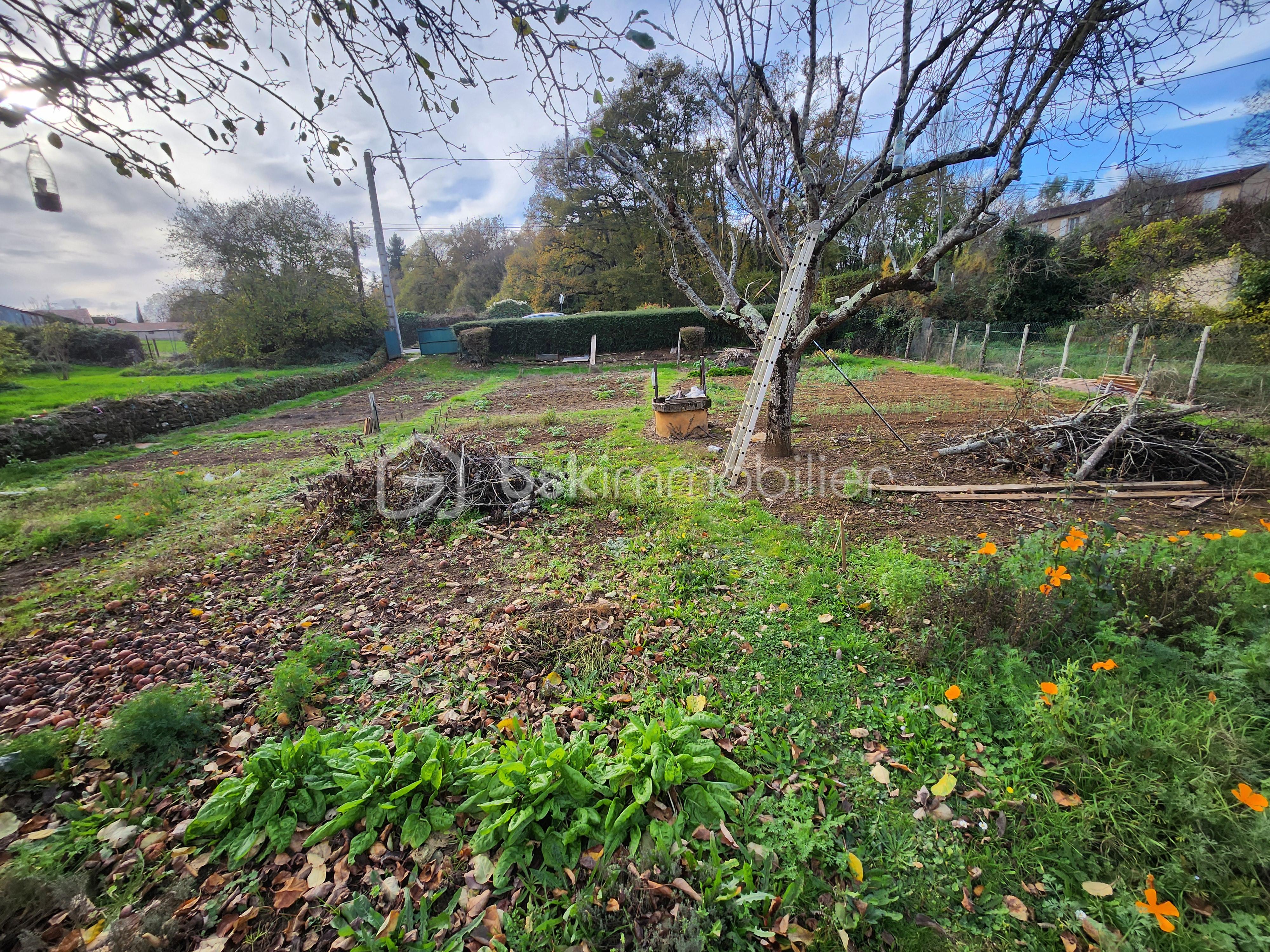 Terrain de 535 m² - 20251114_150255.jpg