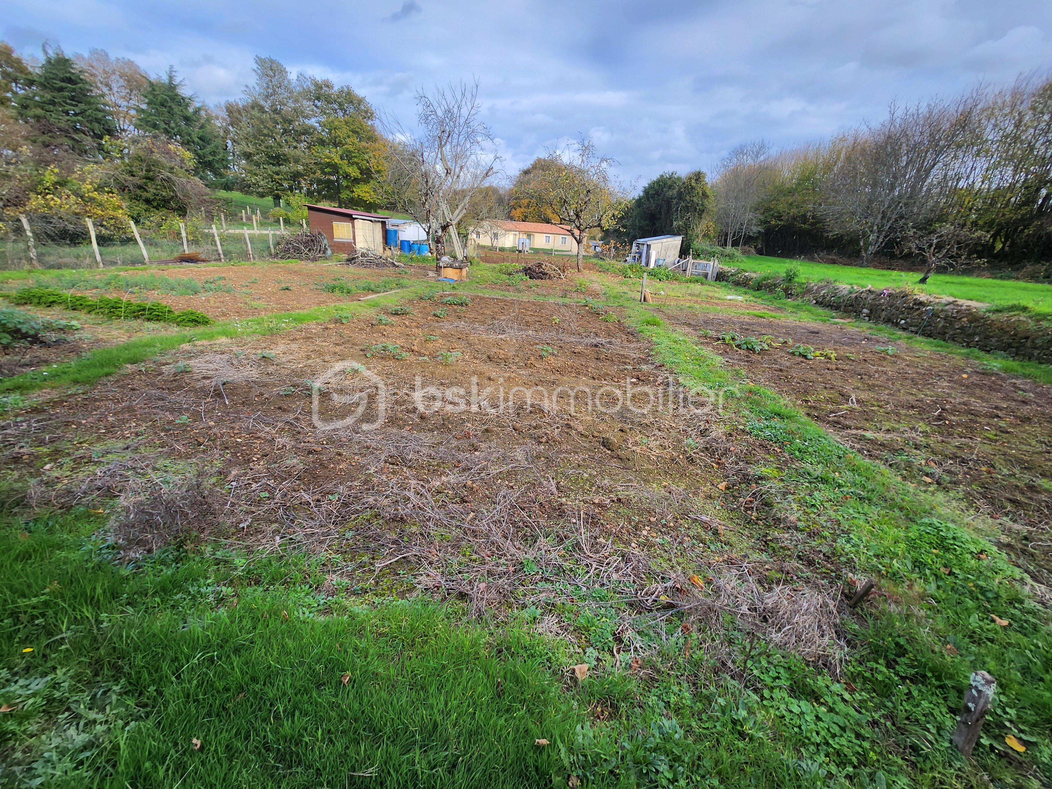 Terrain de 535 m² - 20251114_150201.jpg