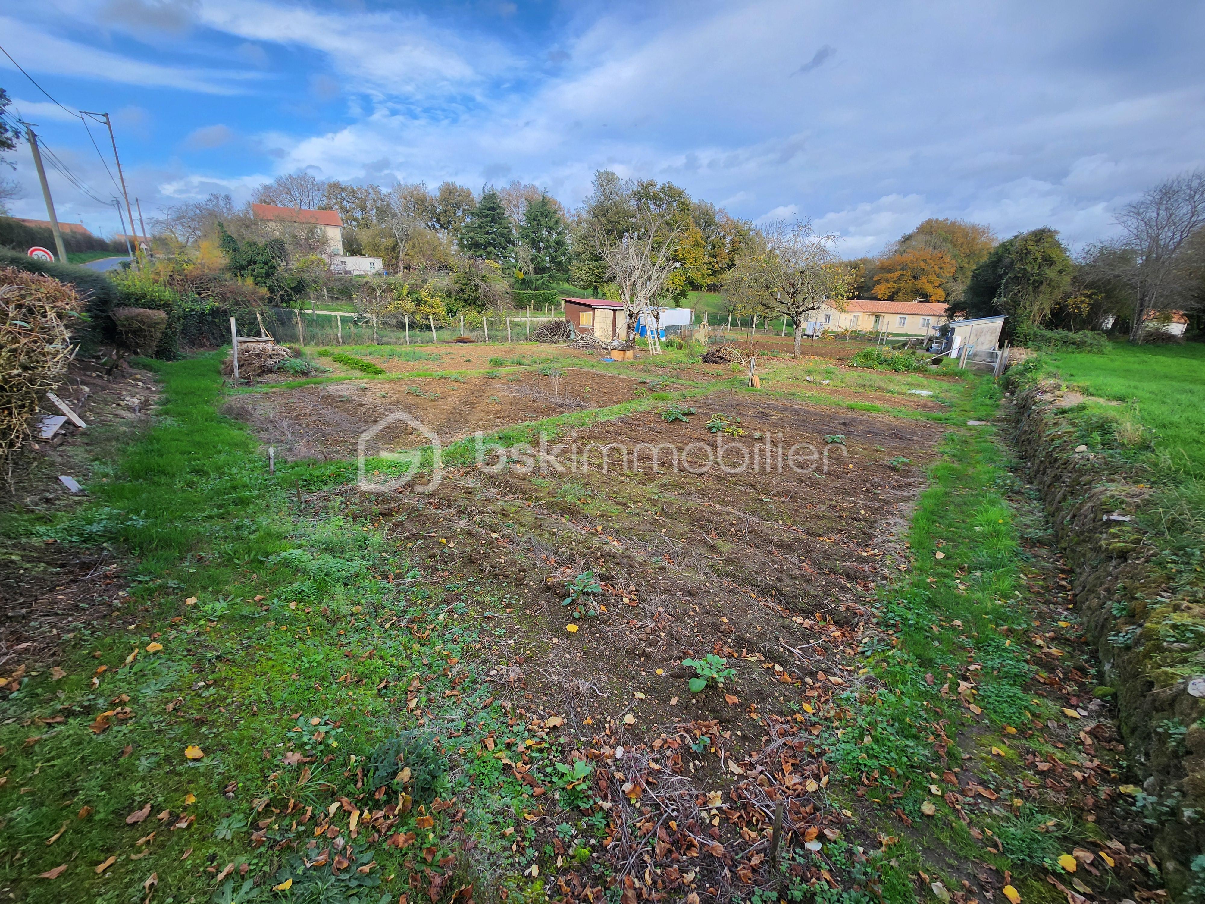 Terrain de 535 m² - 20251114_150150.jpg