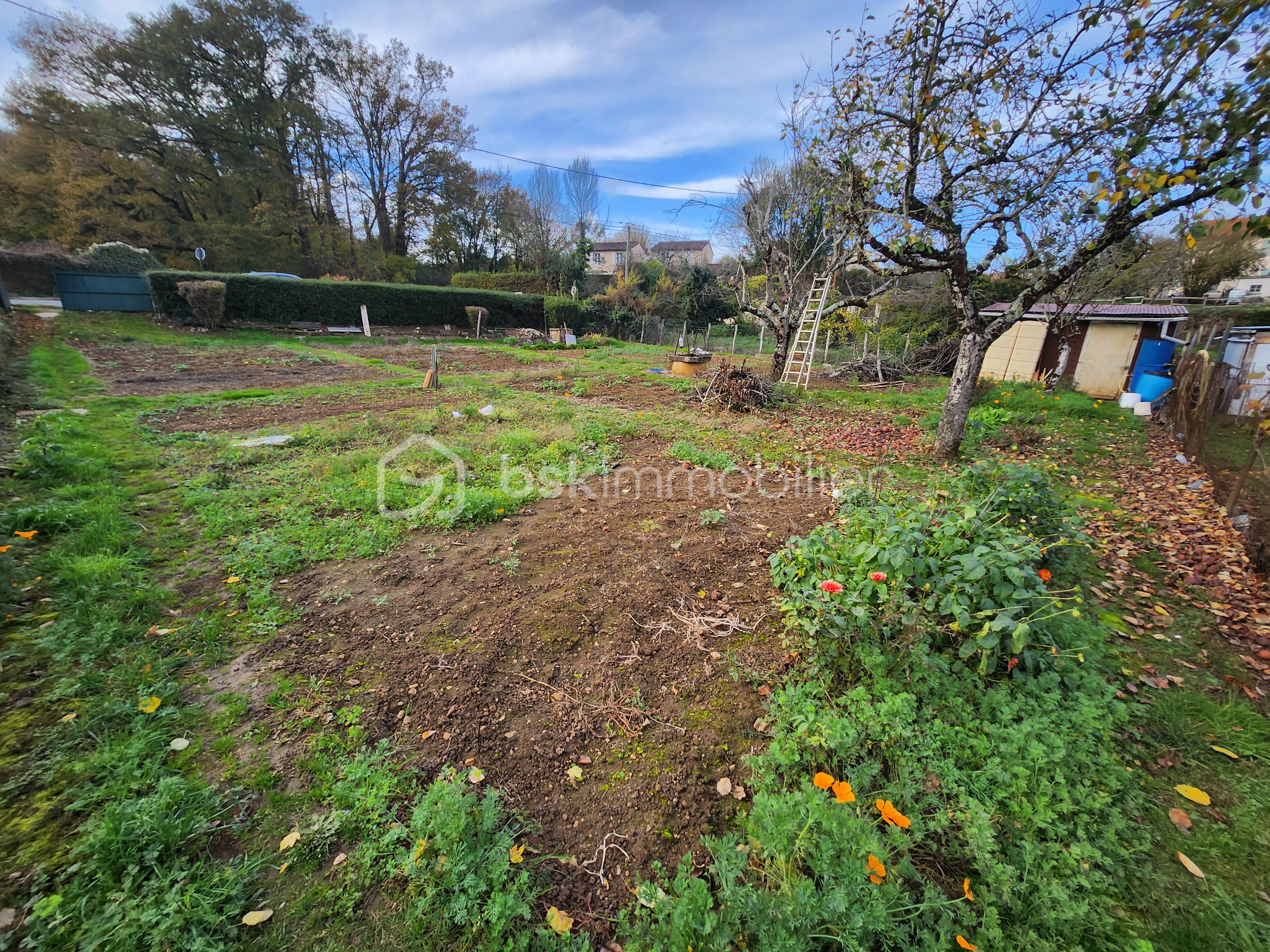 Terrain de 535 m² - 20251114_150310.jpg