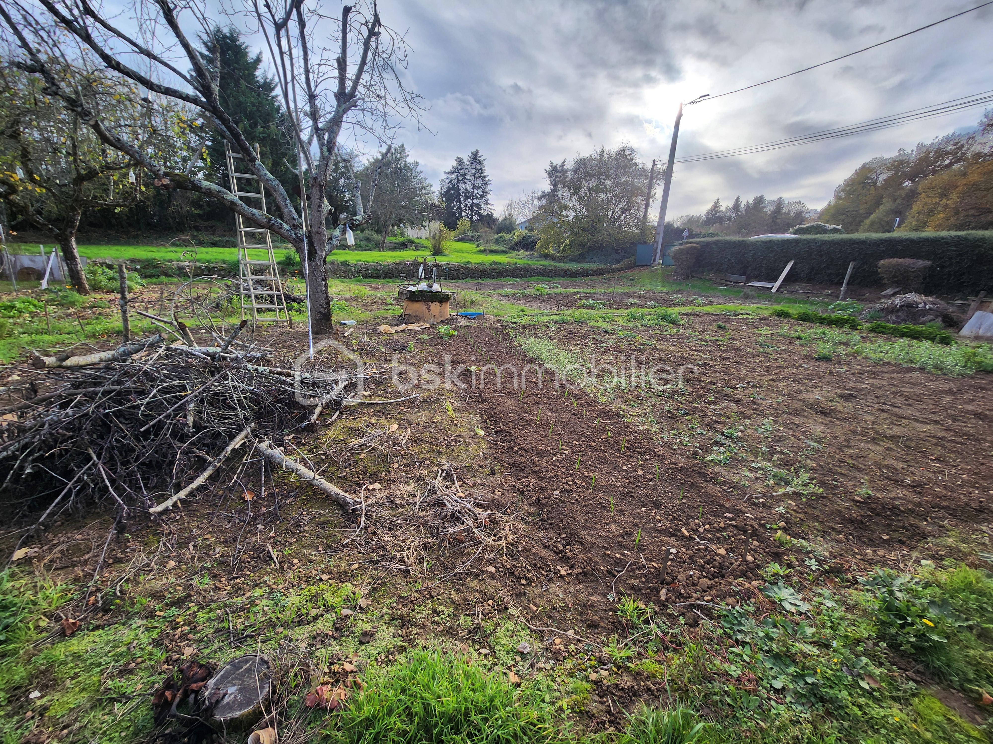 Terrain de 535 m² - 20251114_150229.jpg