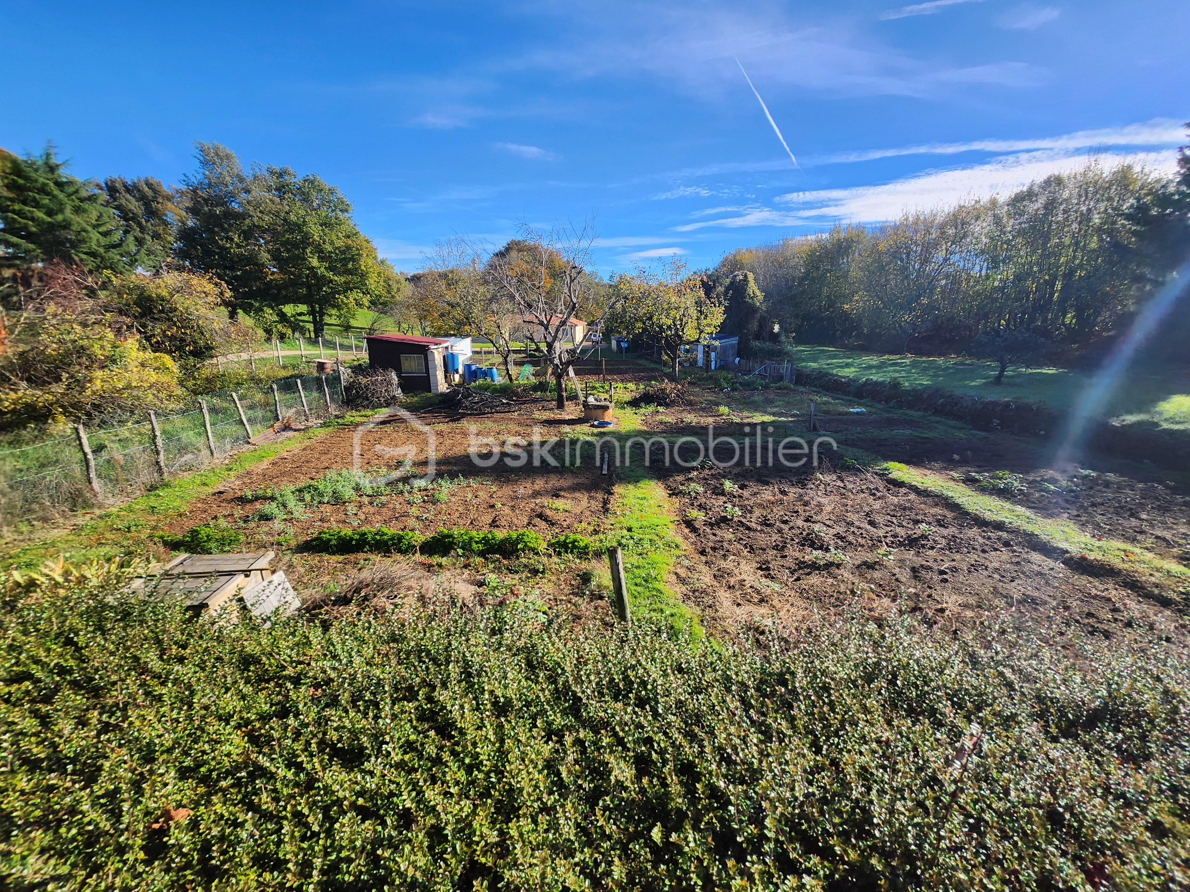 Terrain de 535 m² - 20251104_105637 (1).jpg