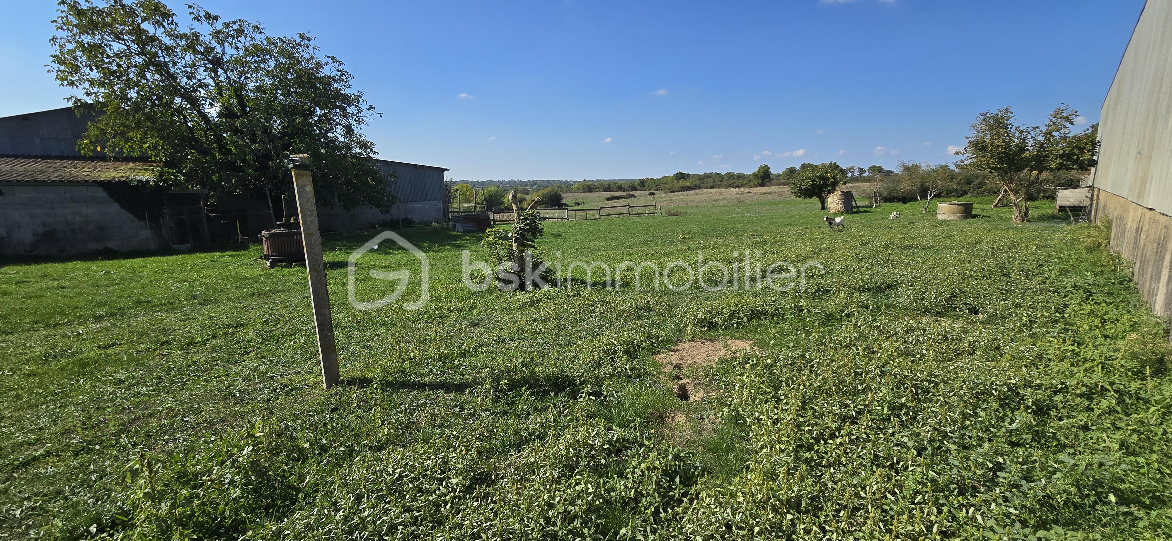 Fermette de 147 m² - 20250930_125400.jpg