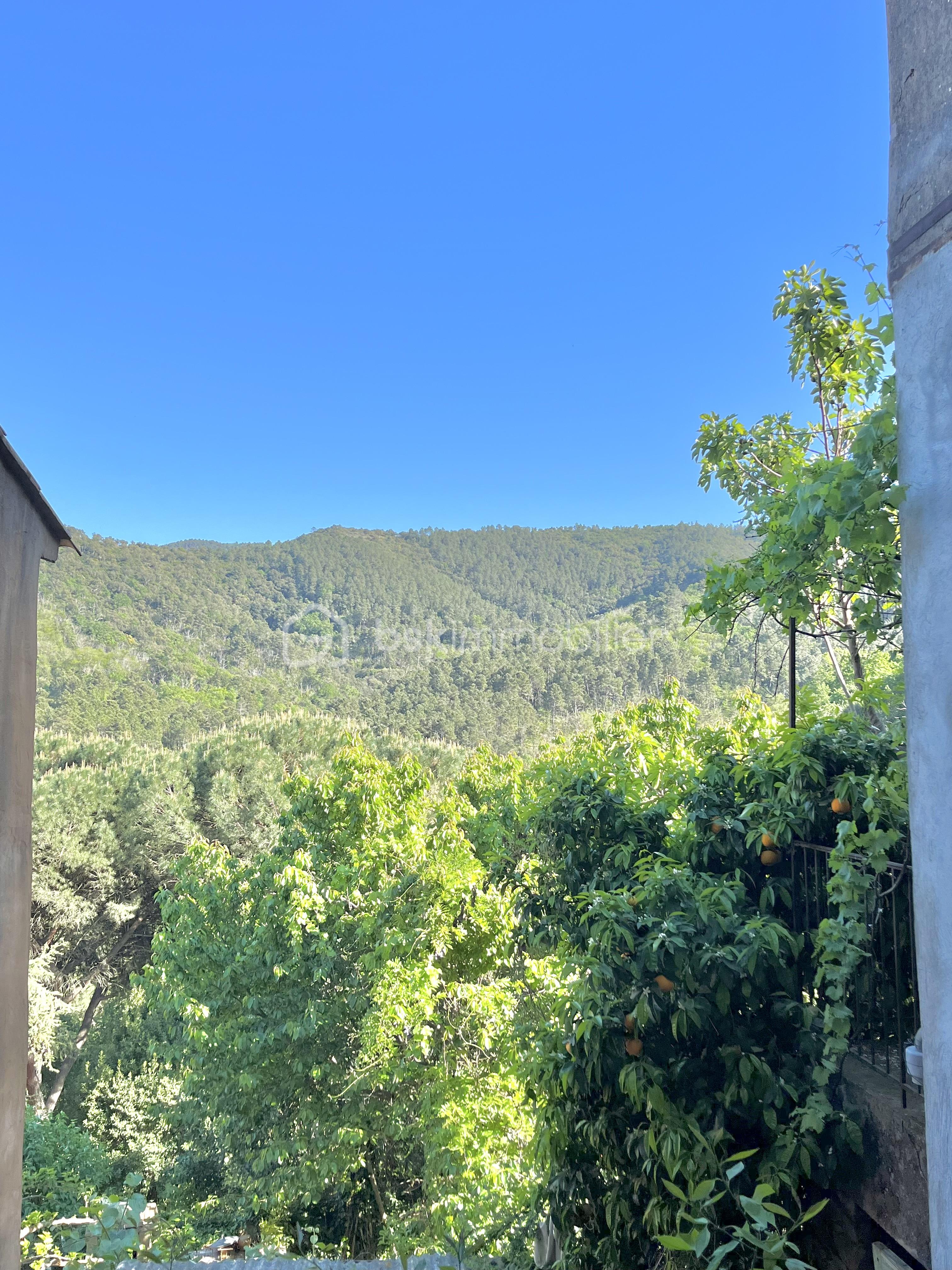 IMG_4776.jpeg