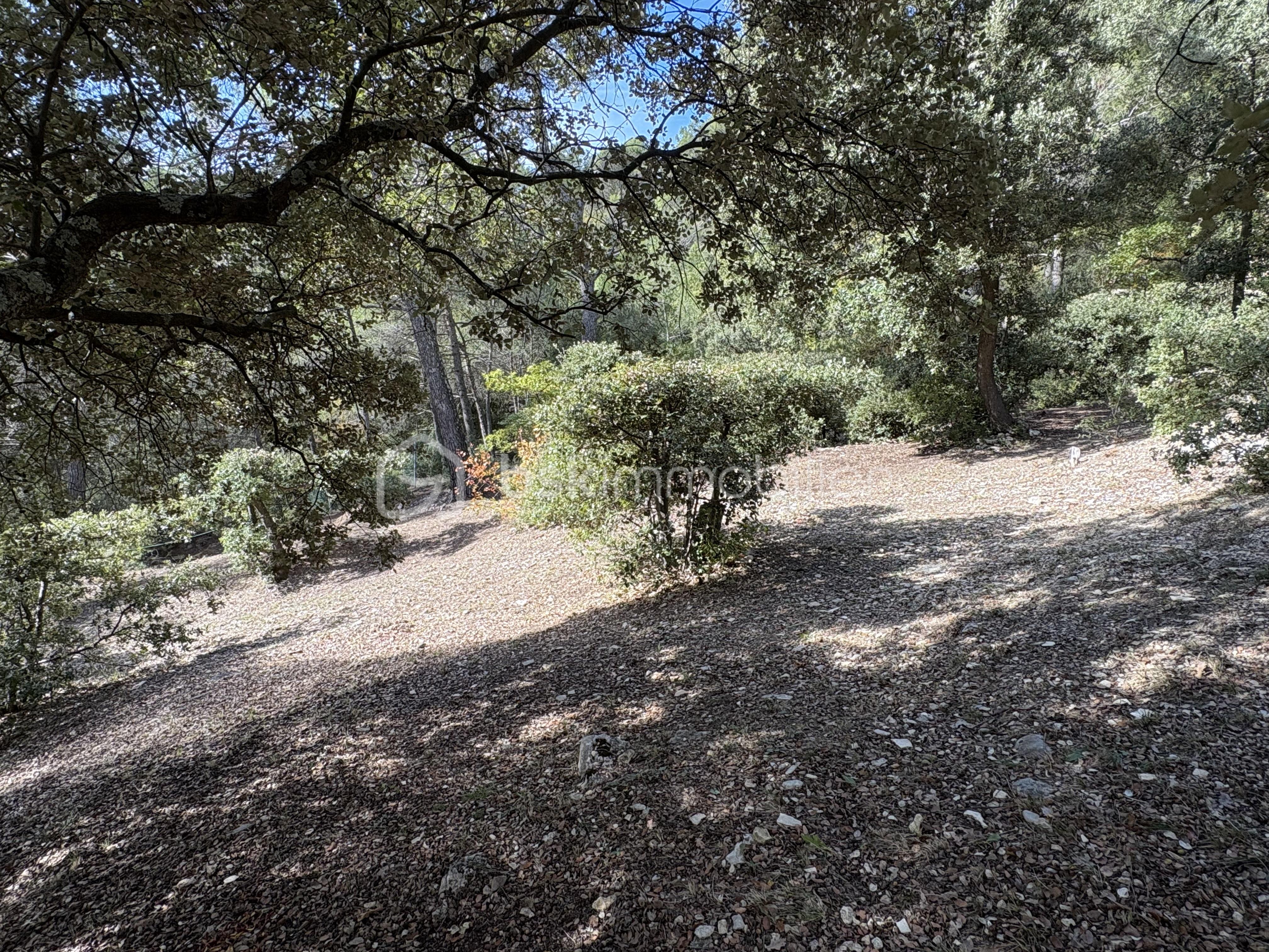 Maison de 170 m² - IMG_4366.JPG